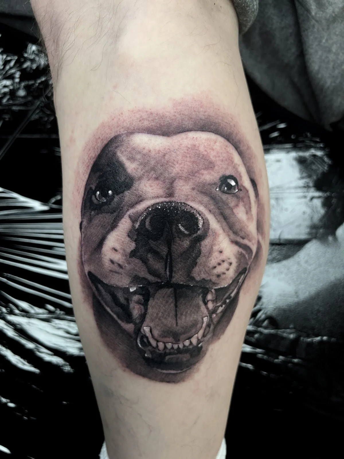 Empire Tattoo and Piercing Studio Blackpool photo