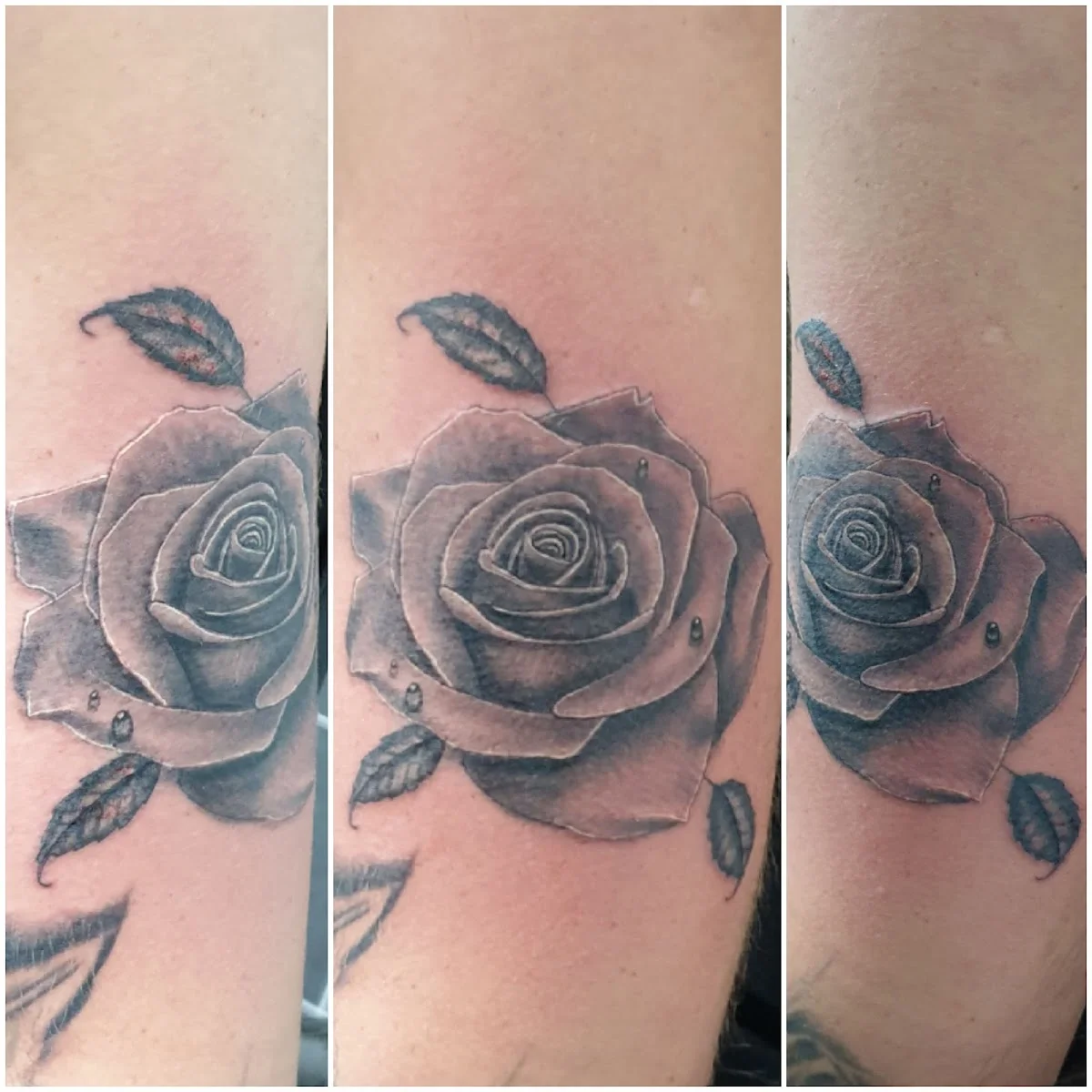 Origin Of Ink Tattoo Studios photo