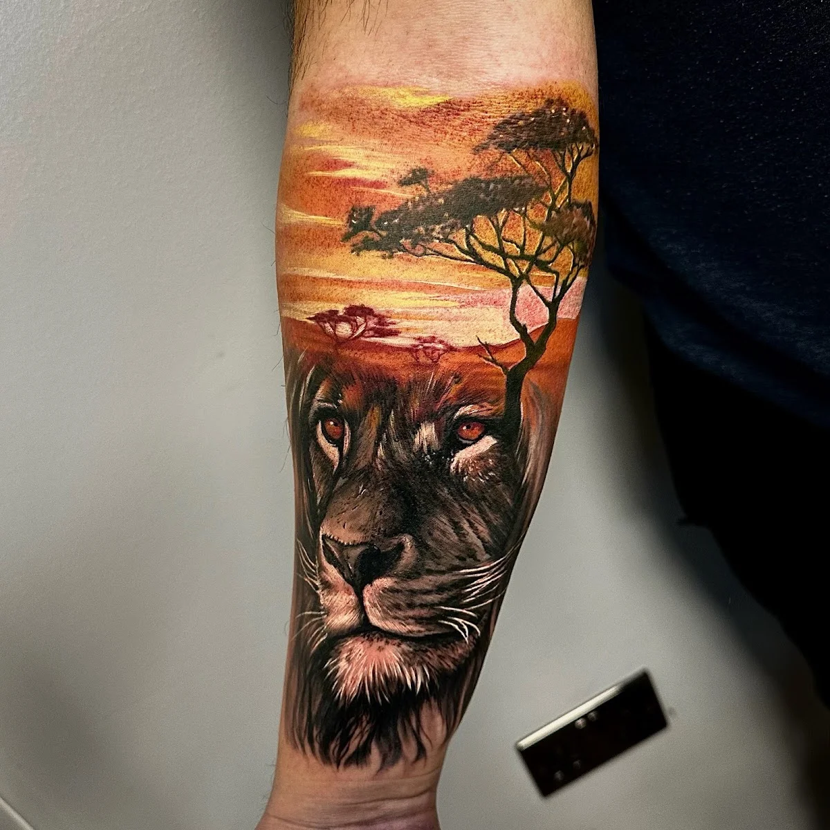 Kingdom of Ink photo