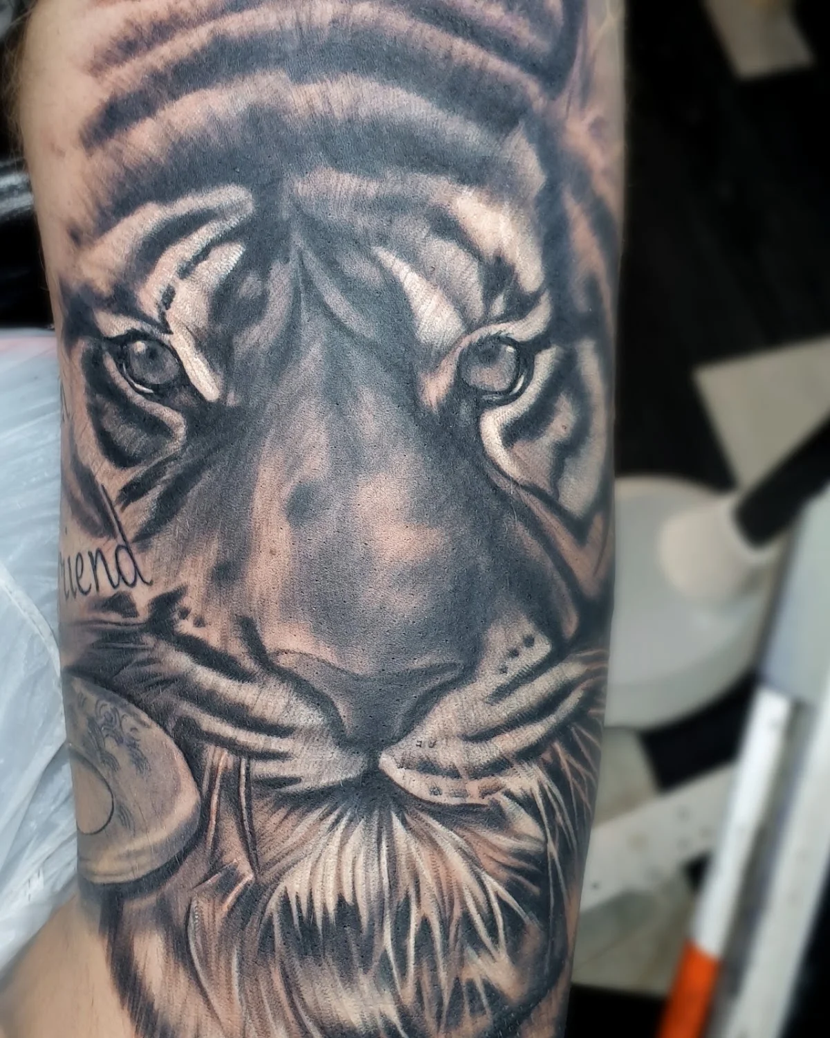 Just Add Ink tattoo shop in Poole, ENG