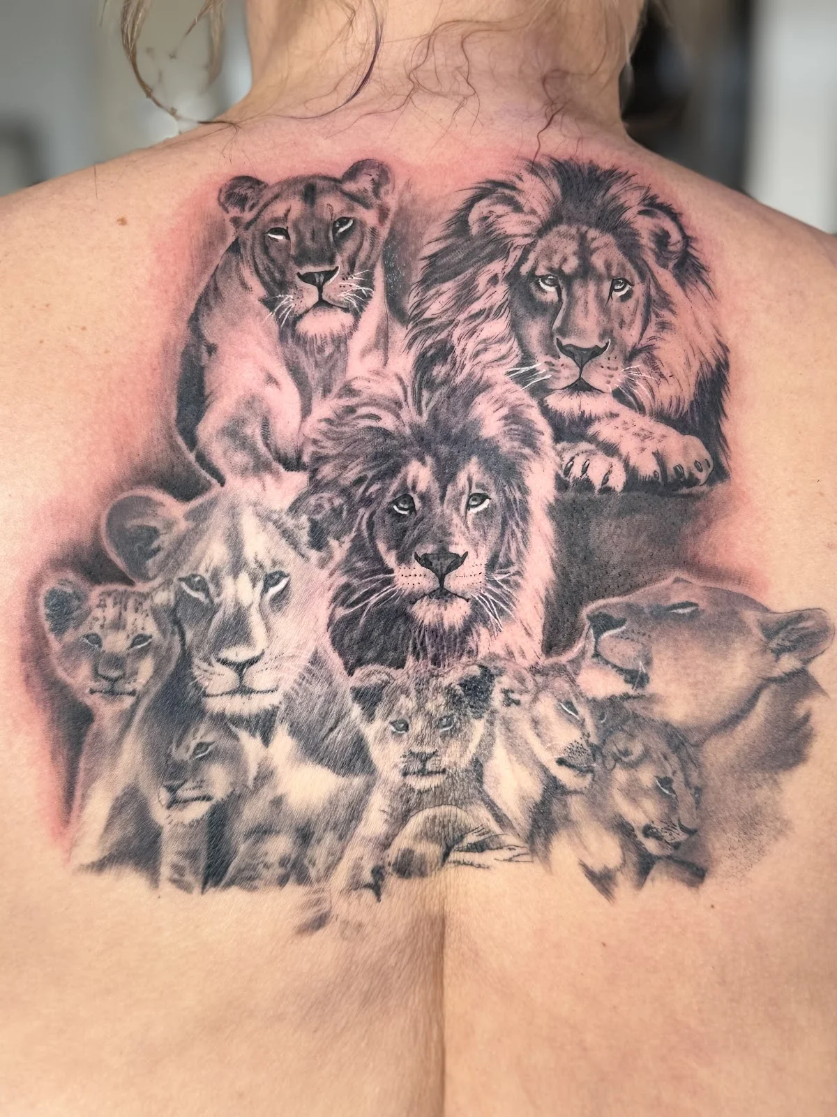 Rumple Ink Skin tattoo shop in Middlesbrough, ENG