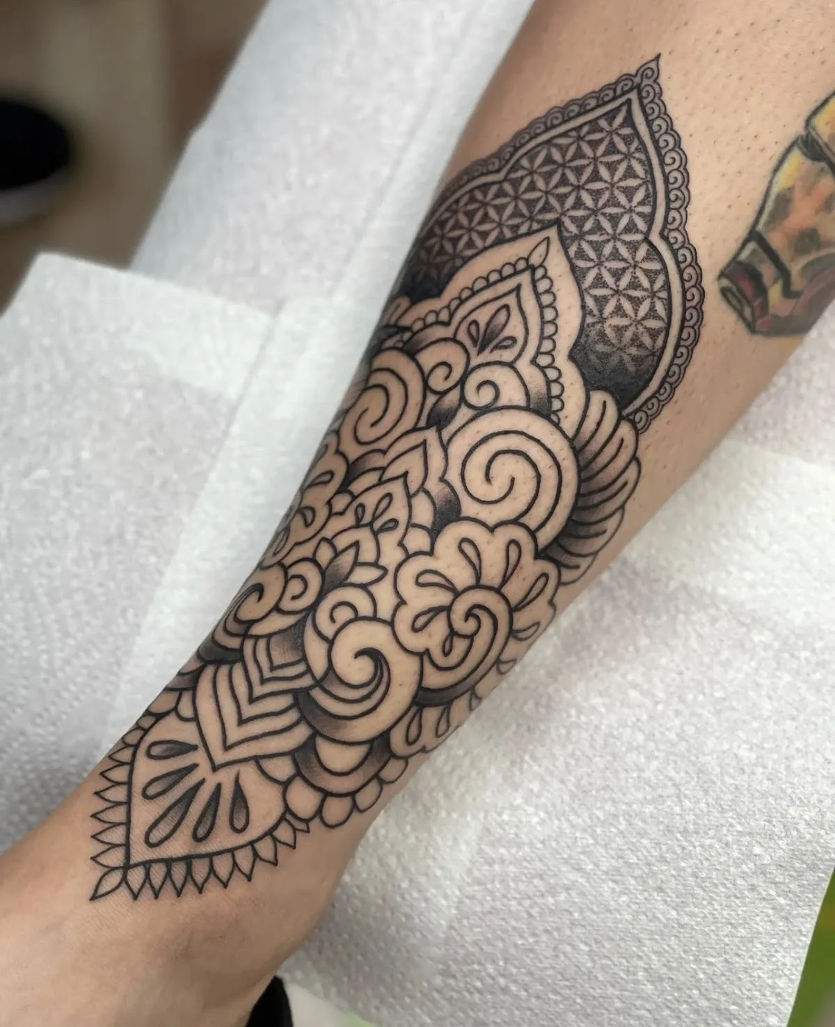 Serpent and Scythe tattoo tattoo shop in Bolton, ENG