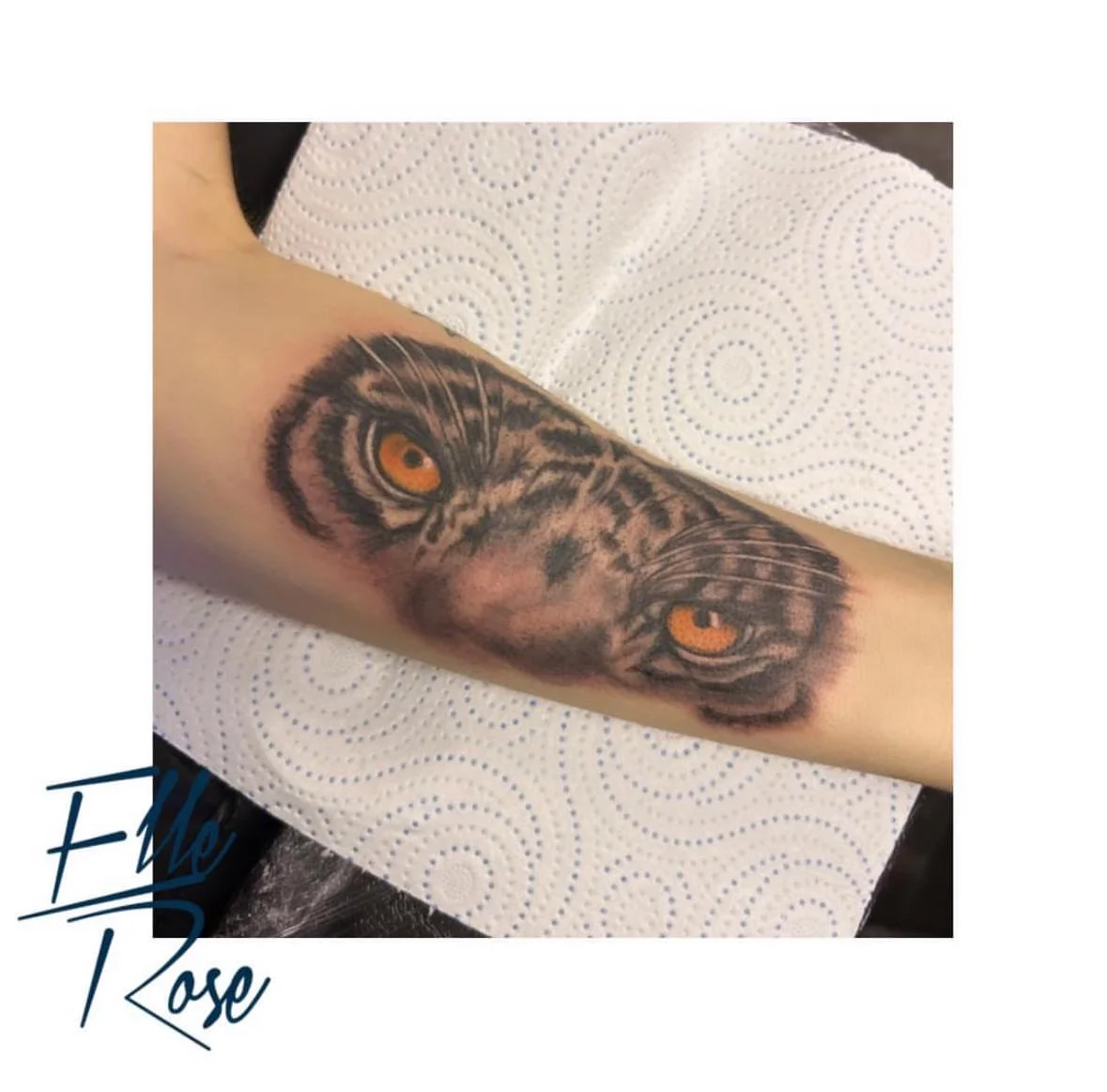 Ellerose Tattoo tattoo shop in Colchester, ENG