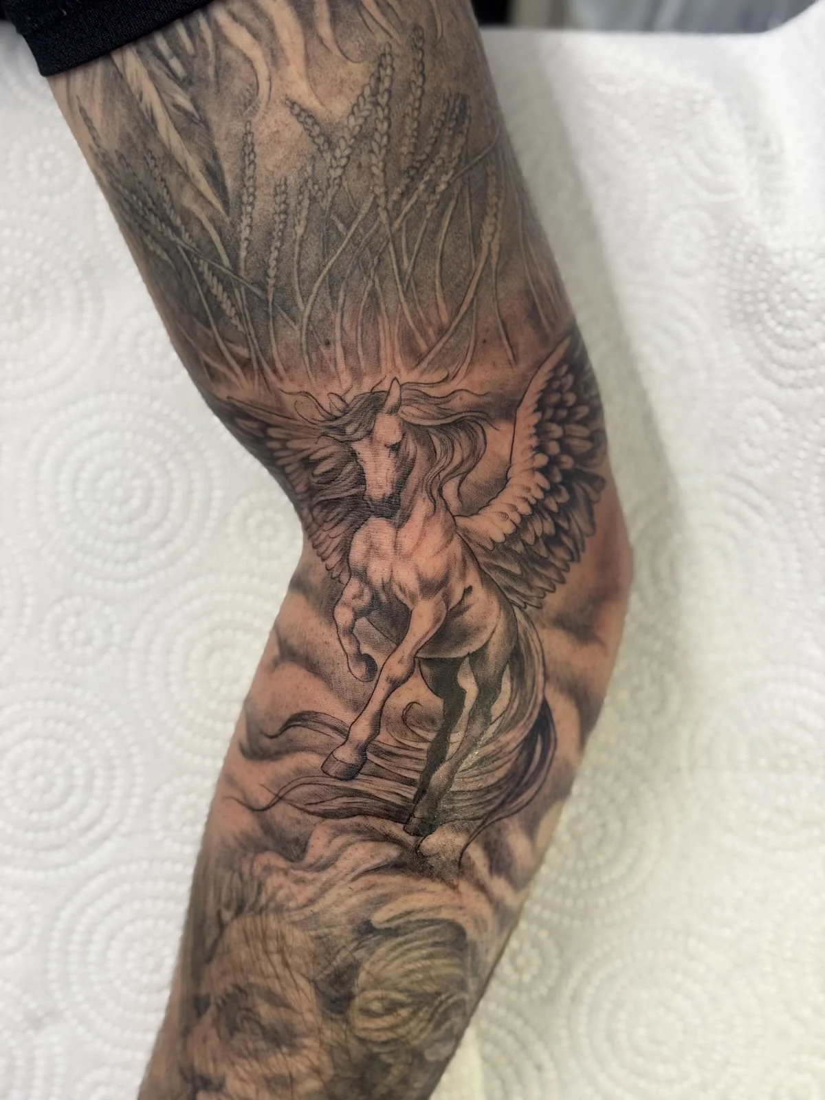 Seb’s Tattoo Attic tattoo shop in Exeter, ENG