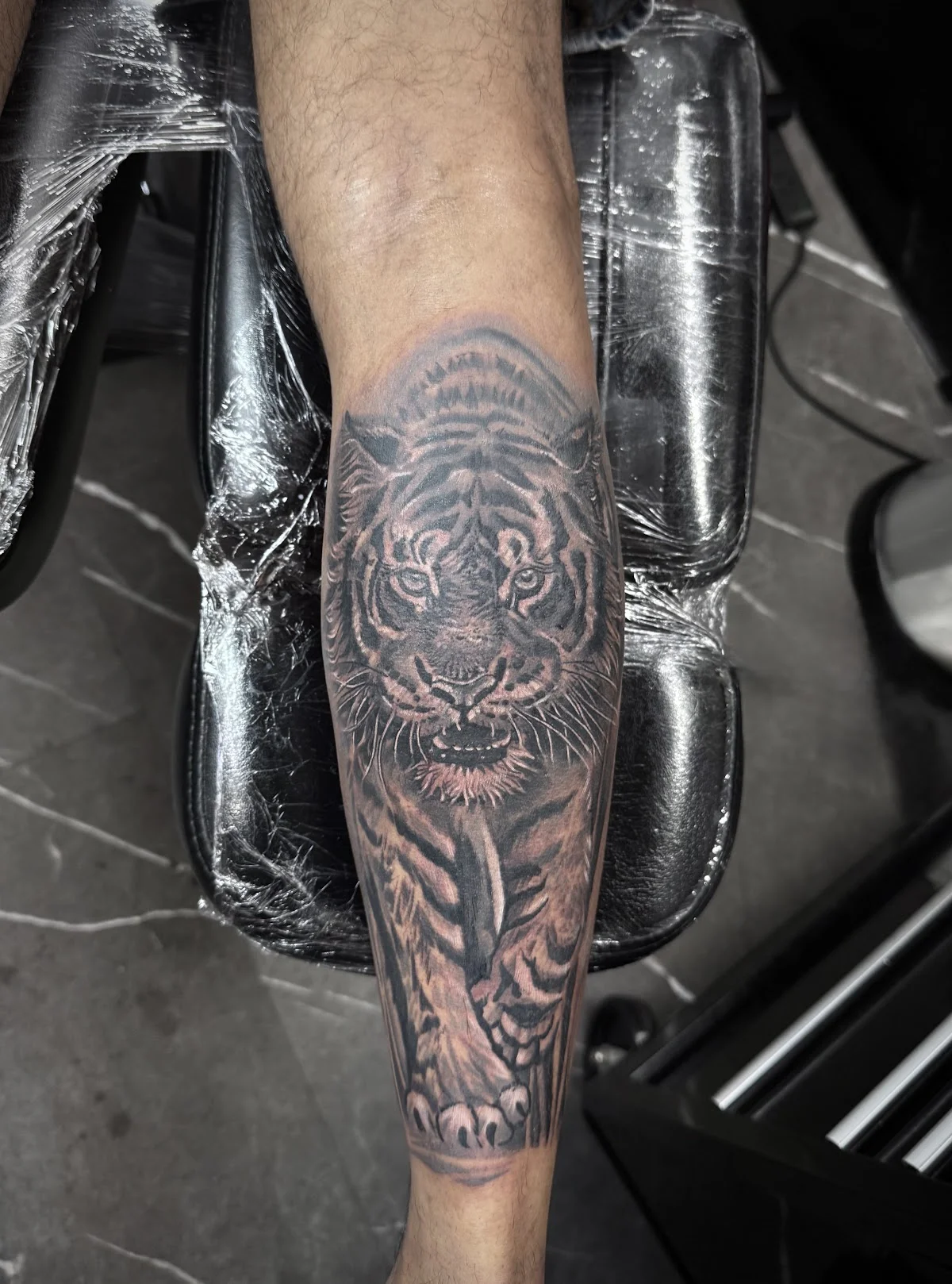 Lemon Dragon Tattoo tattoo shop in Chelmsford, ENG