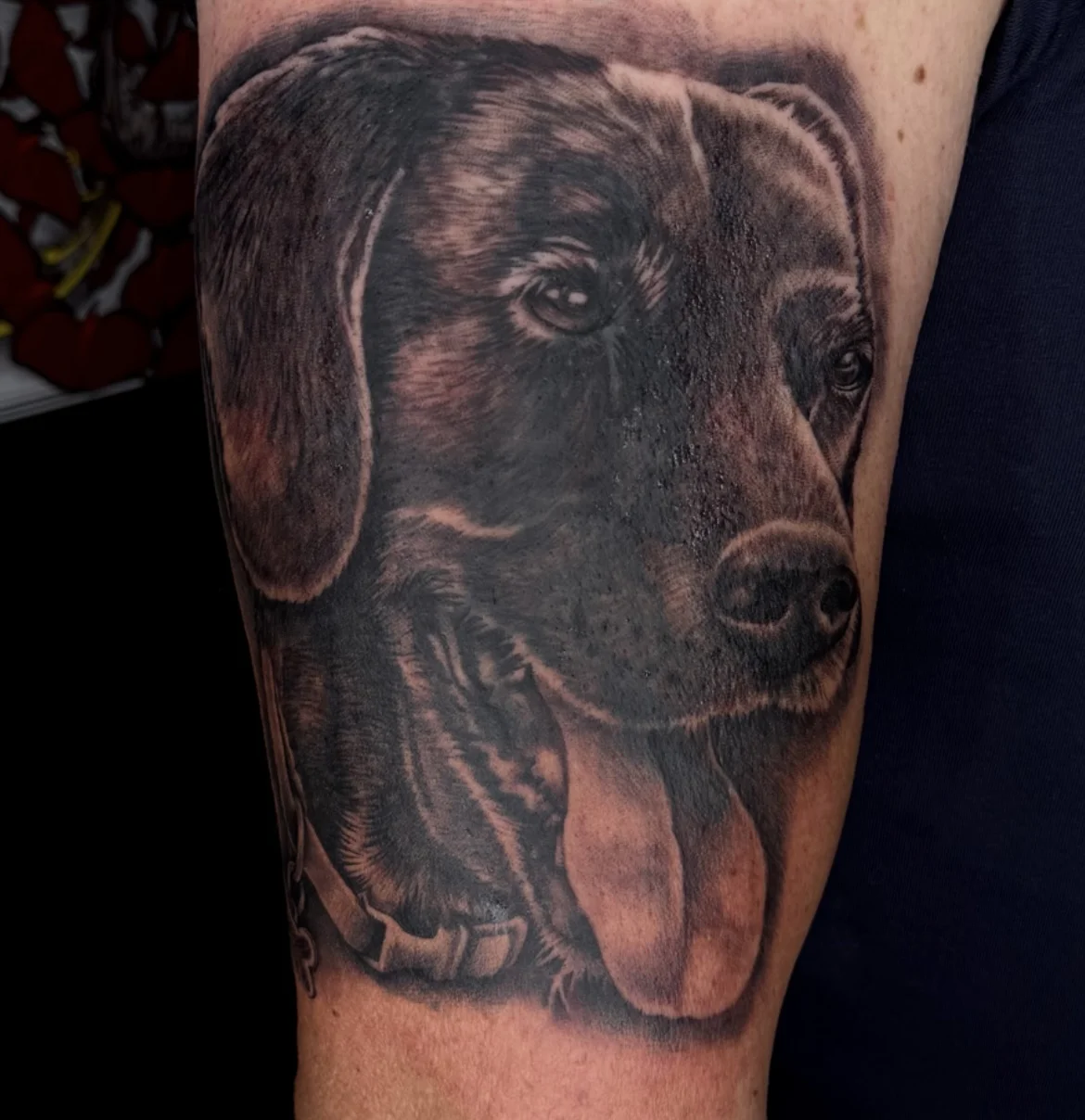 Urban Wolf Tattoo Studio photo