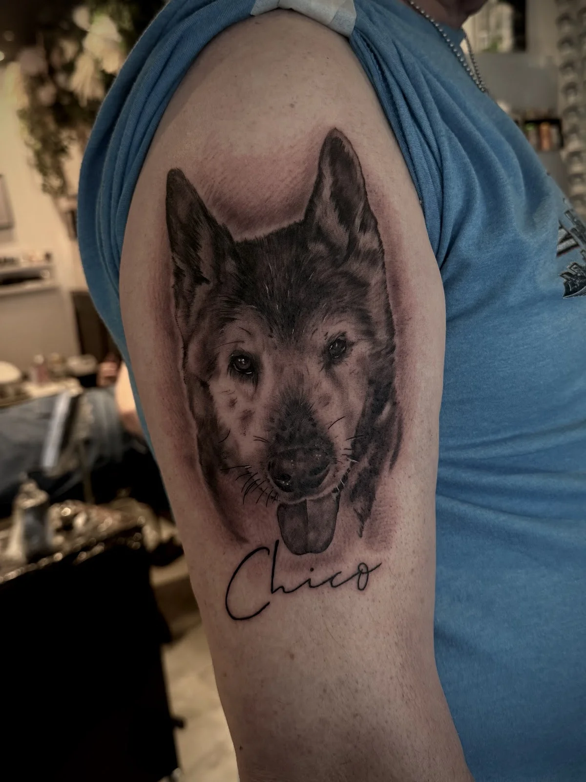 Bear Ink Society photo