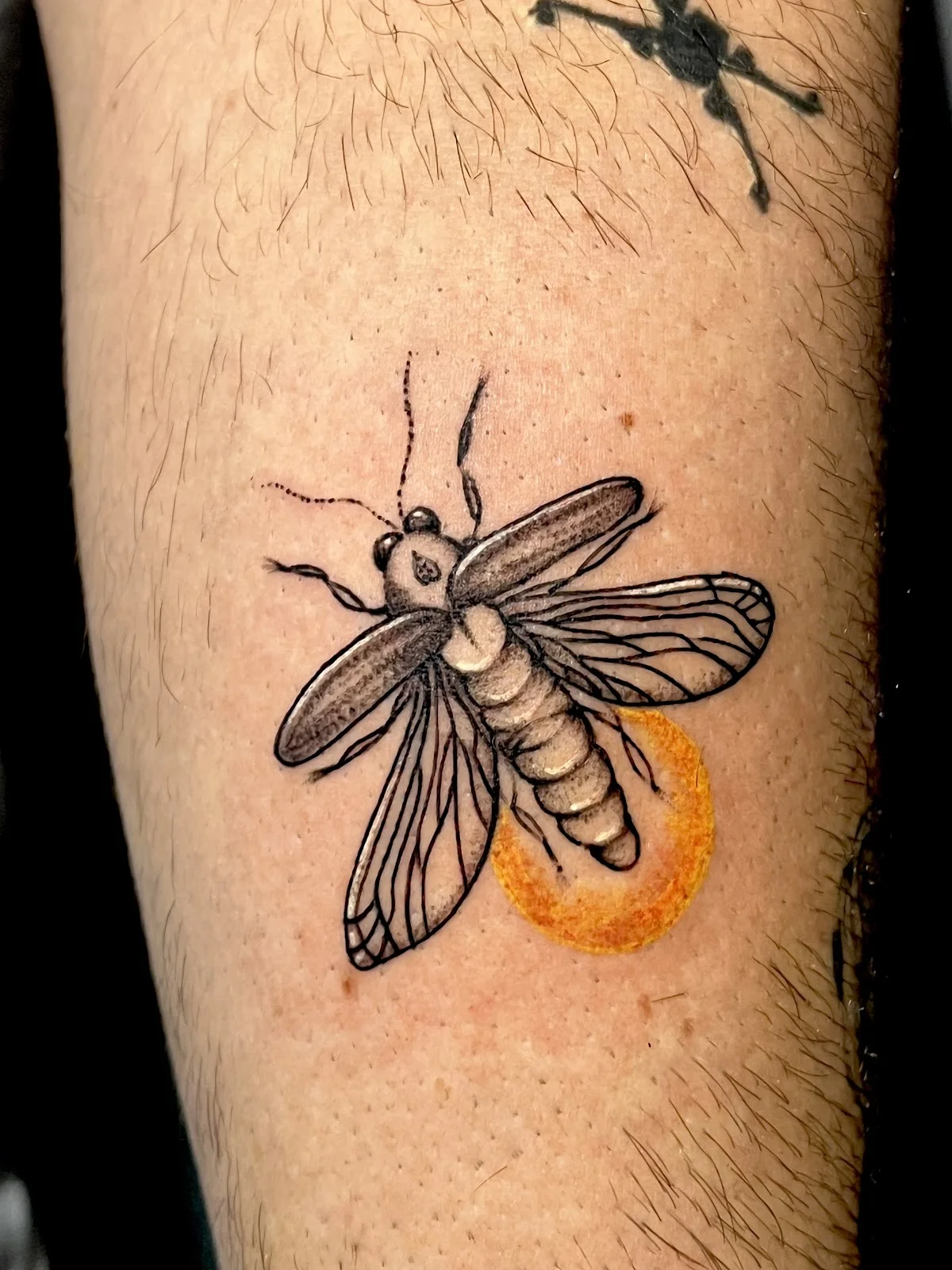 Taller Aquarela Tattoo Studio photo