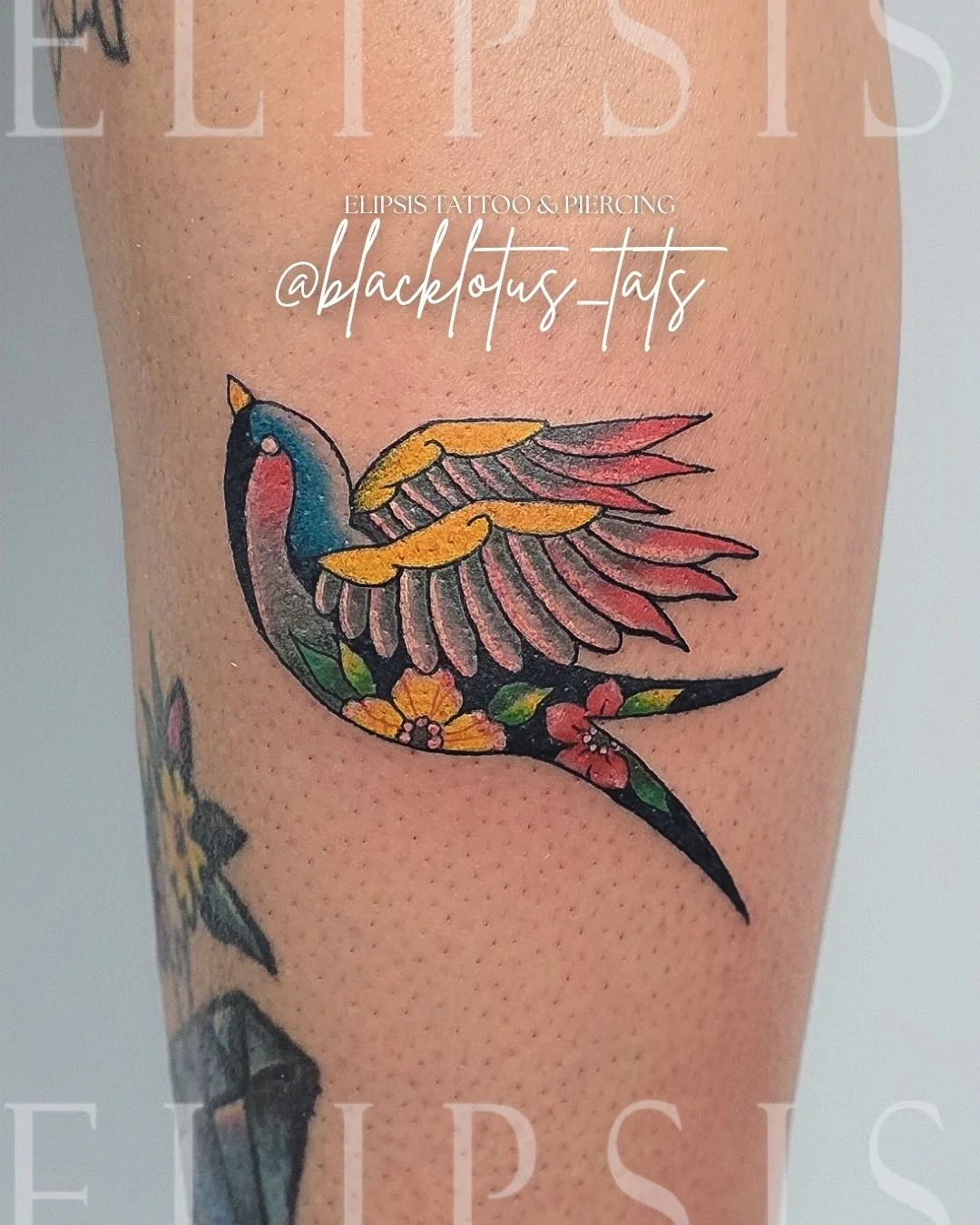 Elipsis Tattoo & Piercing tattoo shop in Cayey, PR