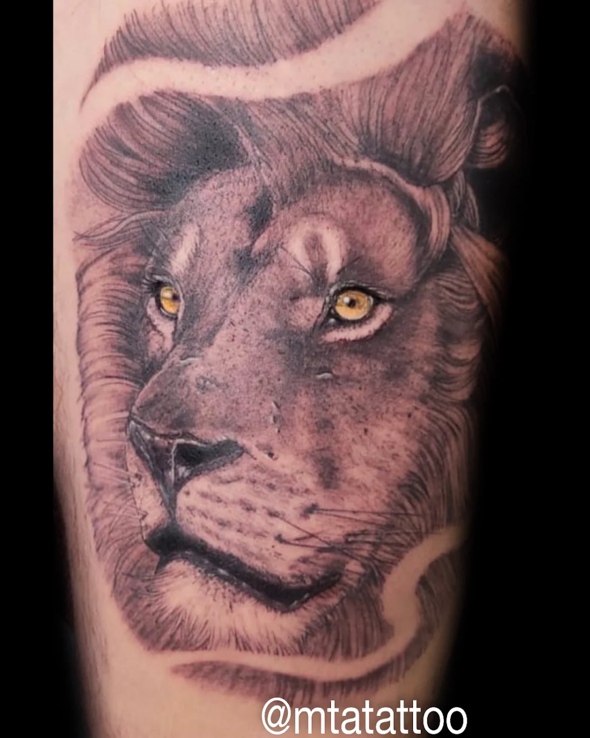 MTA TATTOO STUDIO MILANO tattoo shop in Milan, MI