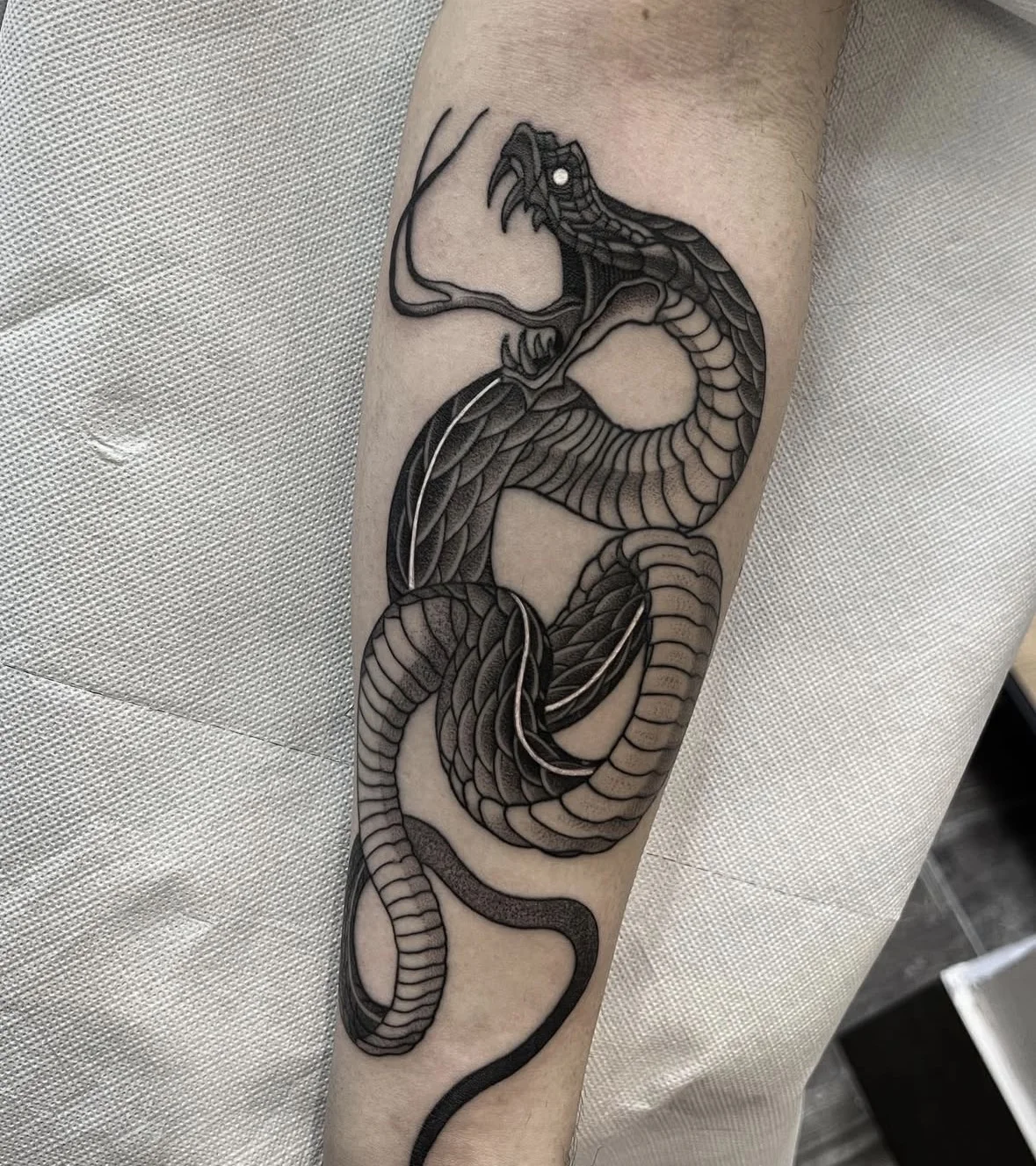 Tattoo Club (NA) tattoo shop in Naples, NA