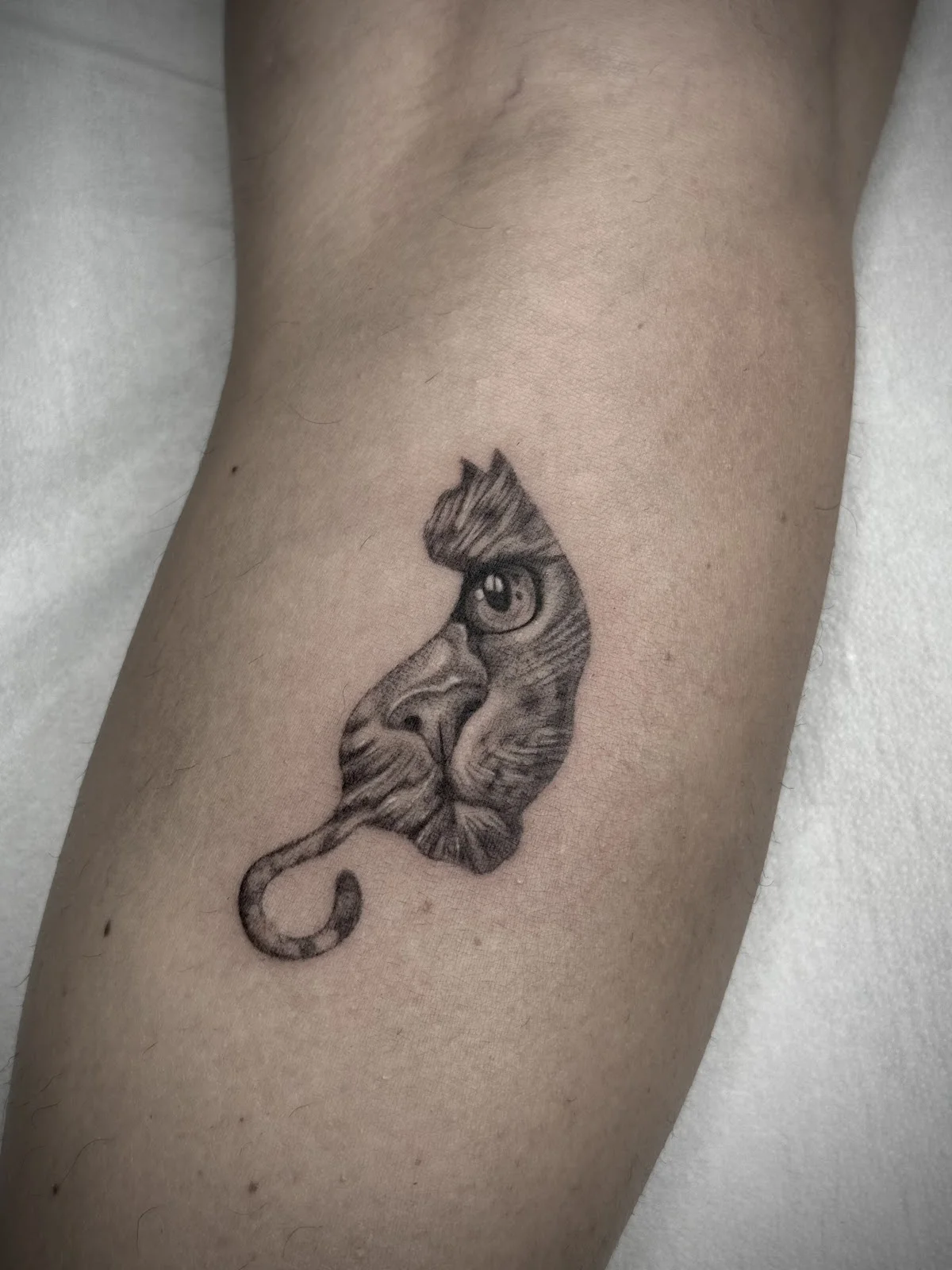 Smartattoo di Marta Barbiani tattoo shop in Bologna, BO