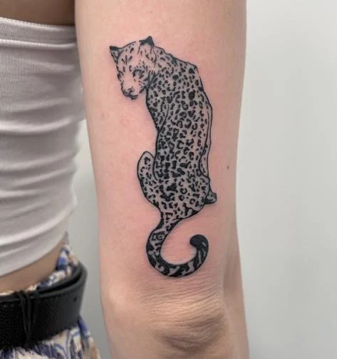 Cicatrici d'Inchiostro Walk-In Tattoo Studio tattoo shop in Verona, VR