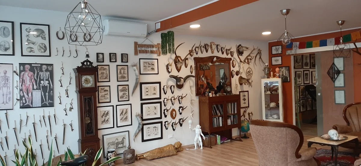 Di.Nero Tattoo Shop tattoo shop in Brescia, BS