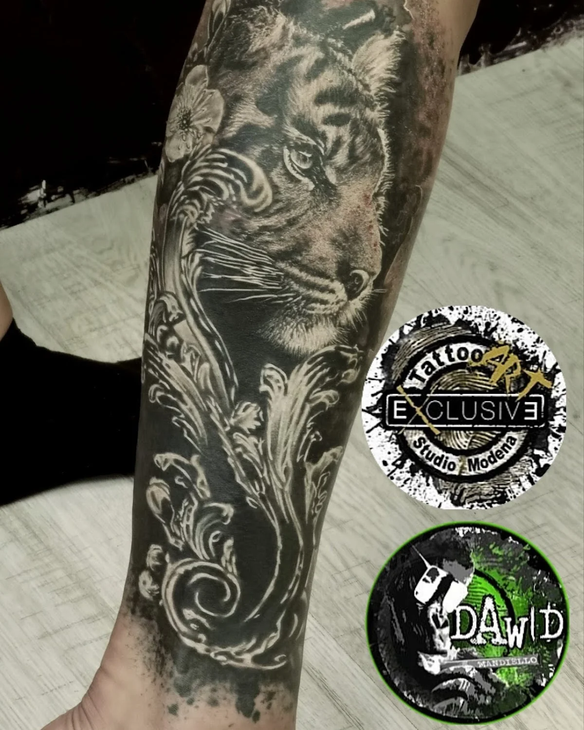 Tattoo ART Studio Modena tattoo shop in Modena, MO