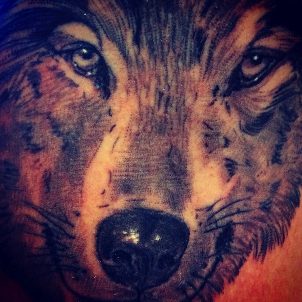Bob Rose Tattoo tattoo shop in Vicenza, VI
