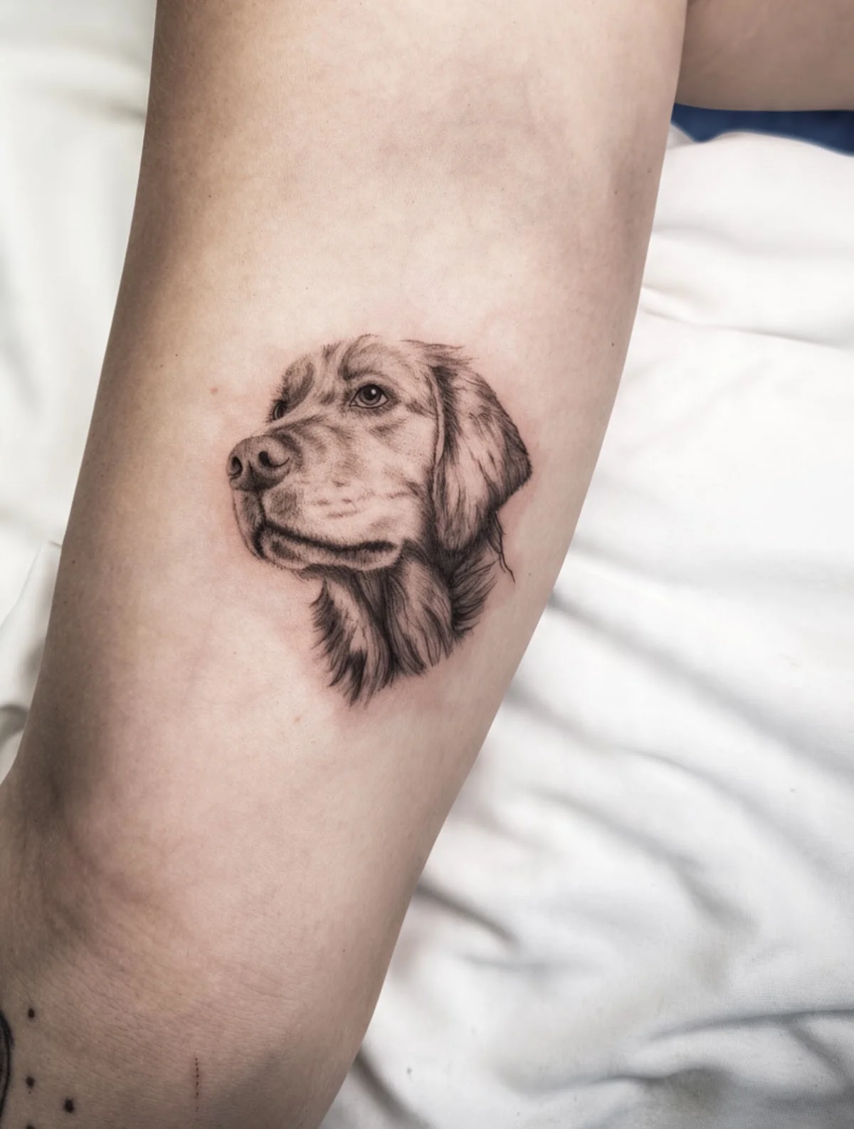 Mercat d'Art Tattoo & Piercing Barcelona tattoo shop in Barcelona, CT
