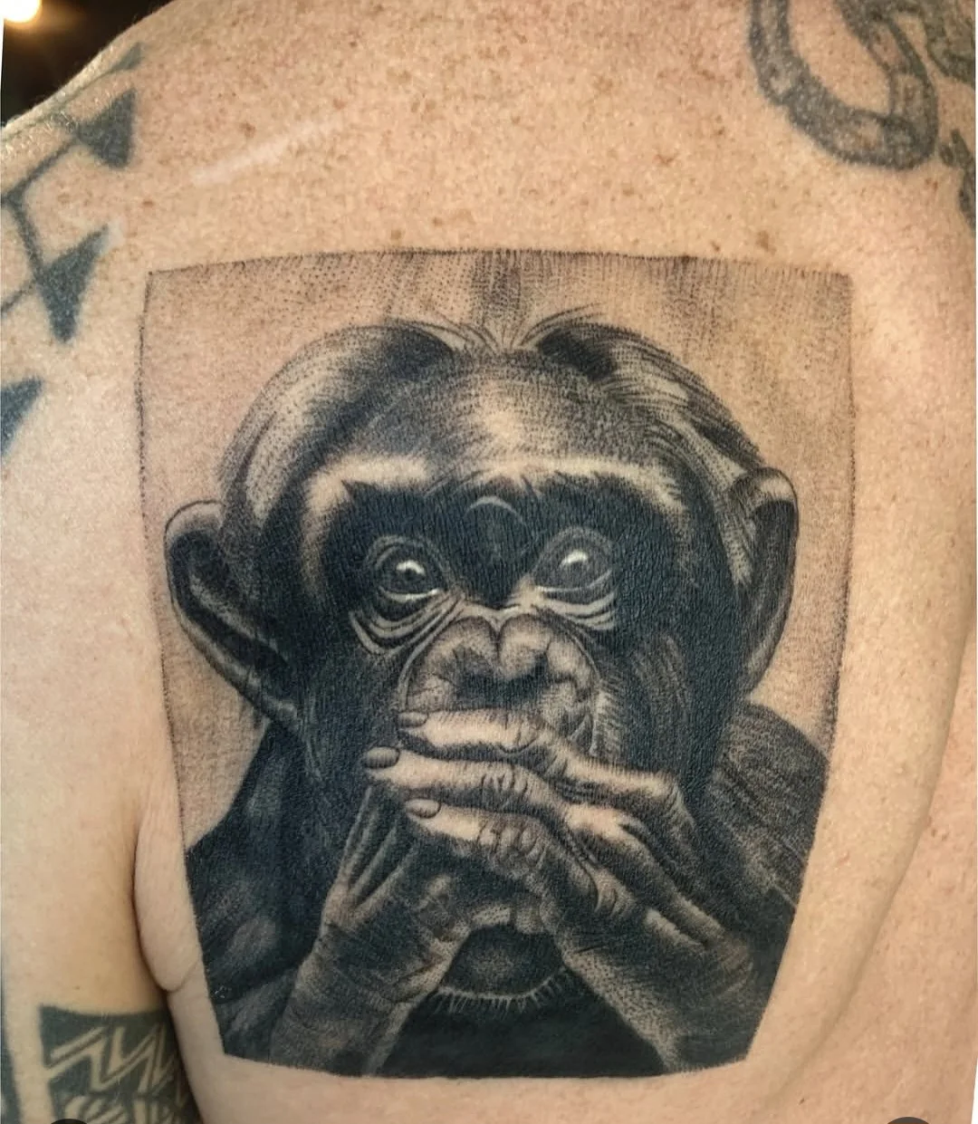 NTV Tattoo photo