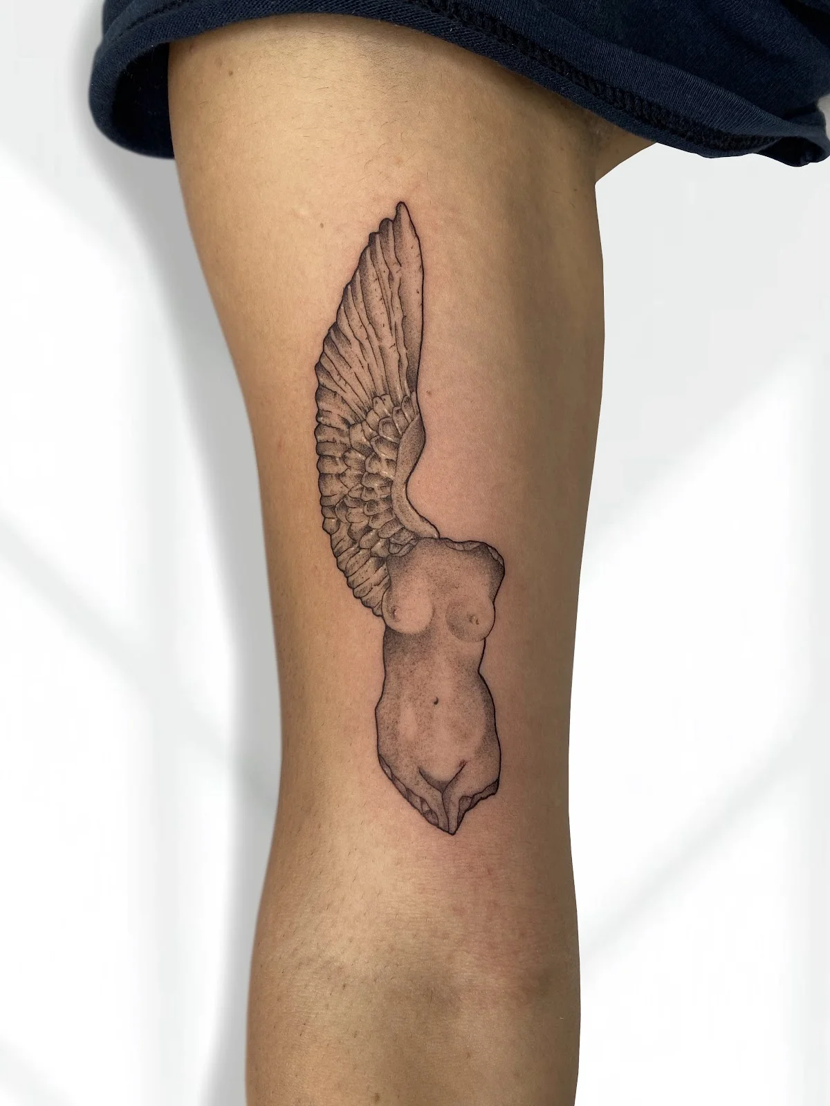 LAUREATO TATTOO photo