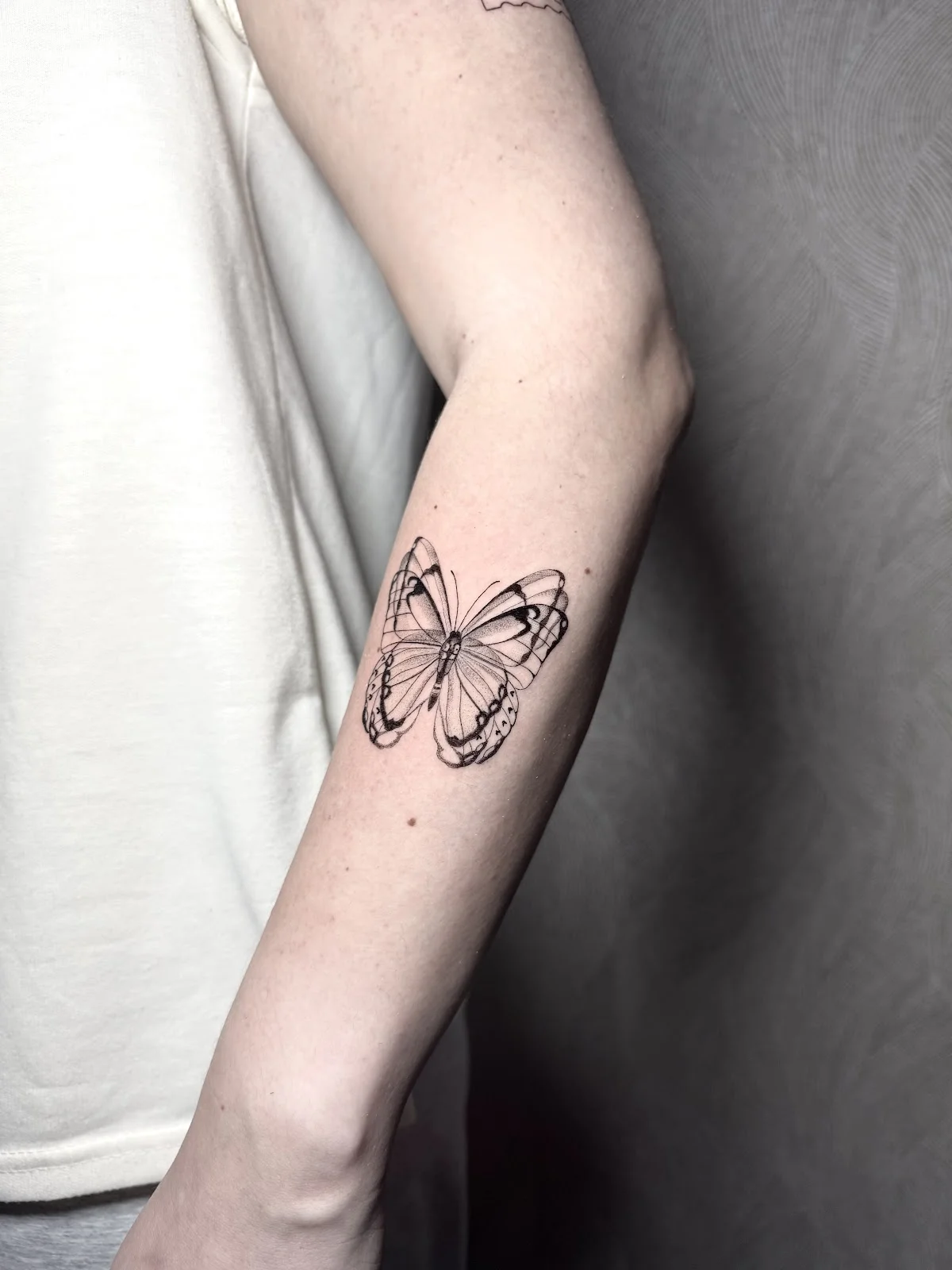 Fansy.tattoo córdoba tattoo shop in Cordoba, AN