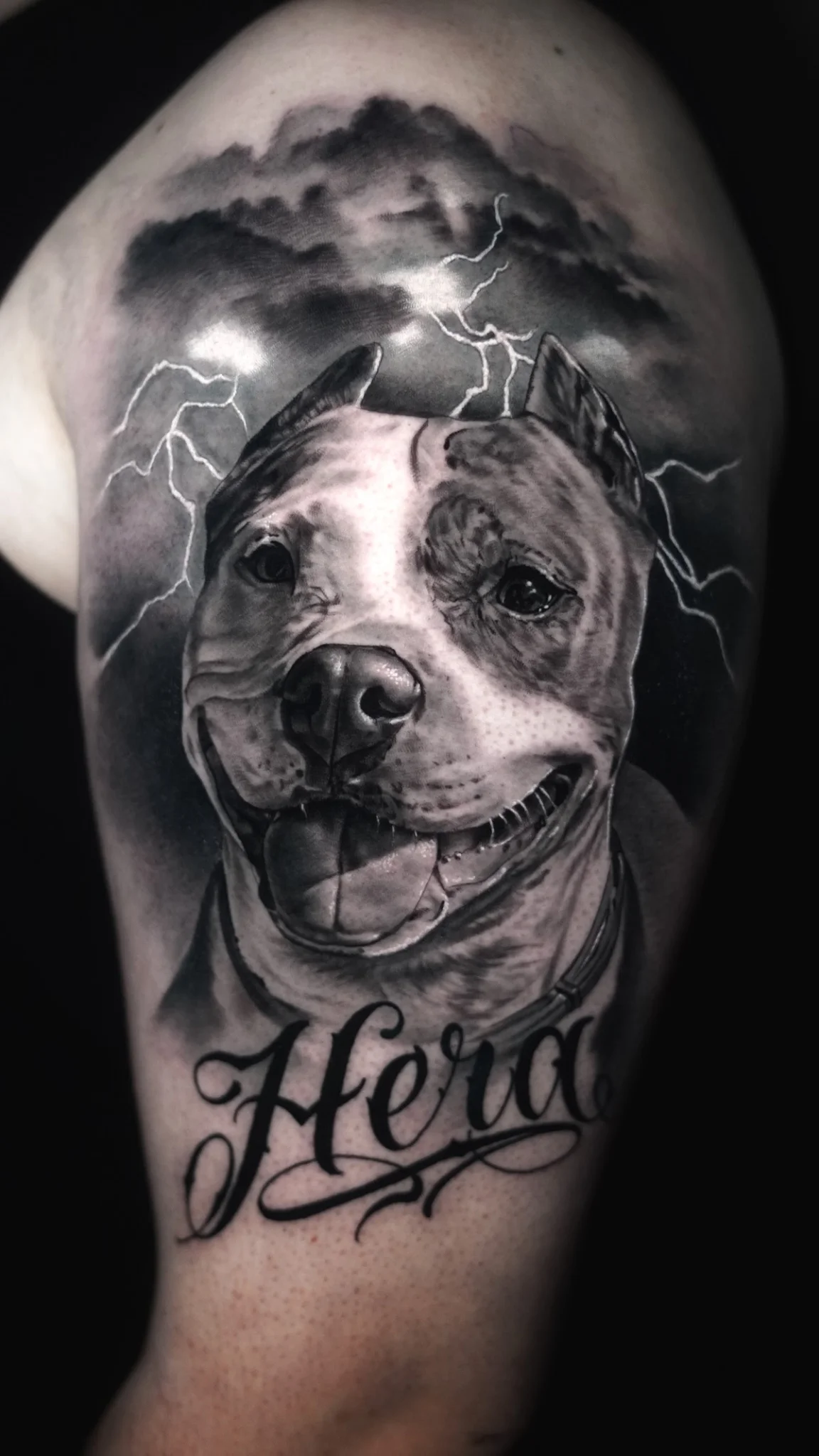 Zoo Ink Tattoo photo