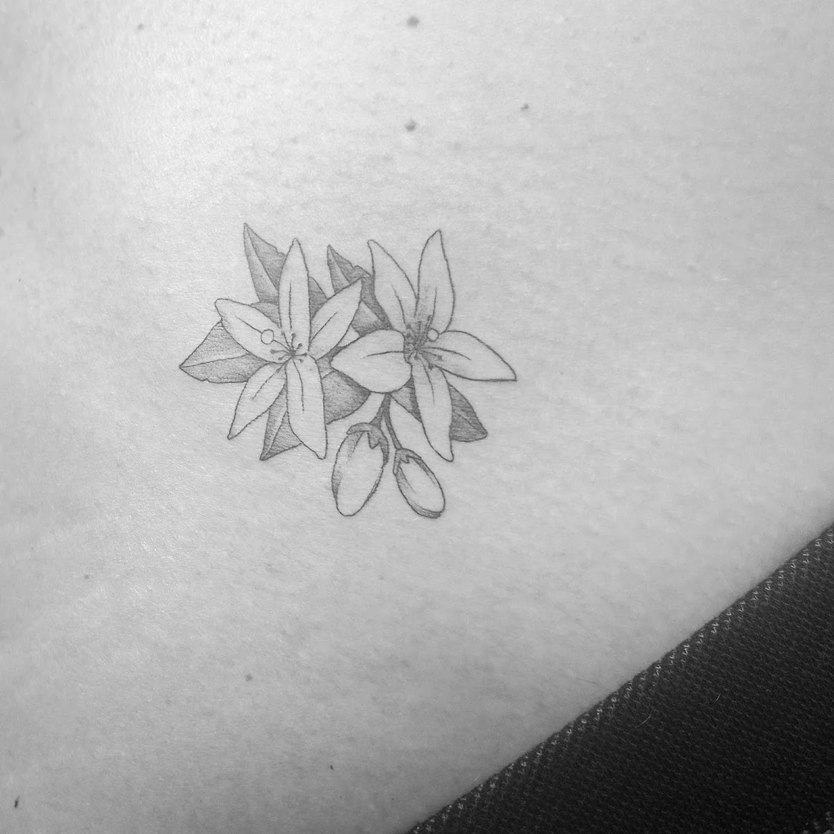 Clandestina Tattoo tattoo shop in Cordoba, AN