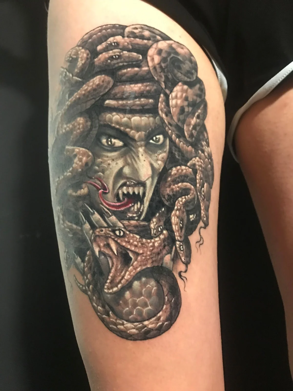 TATTOO MANTIS photo