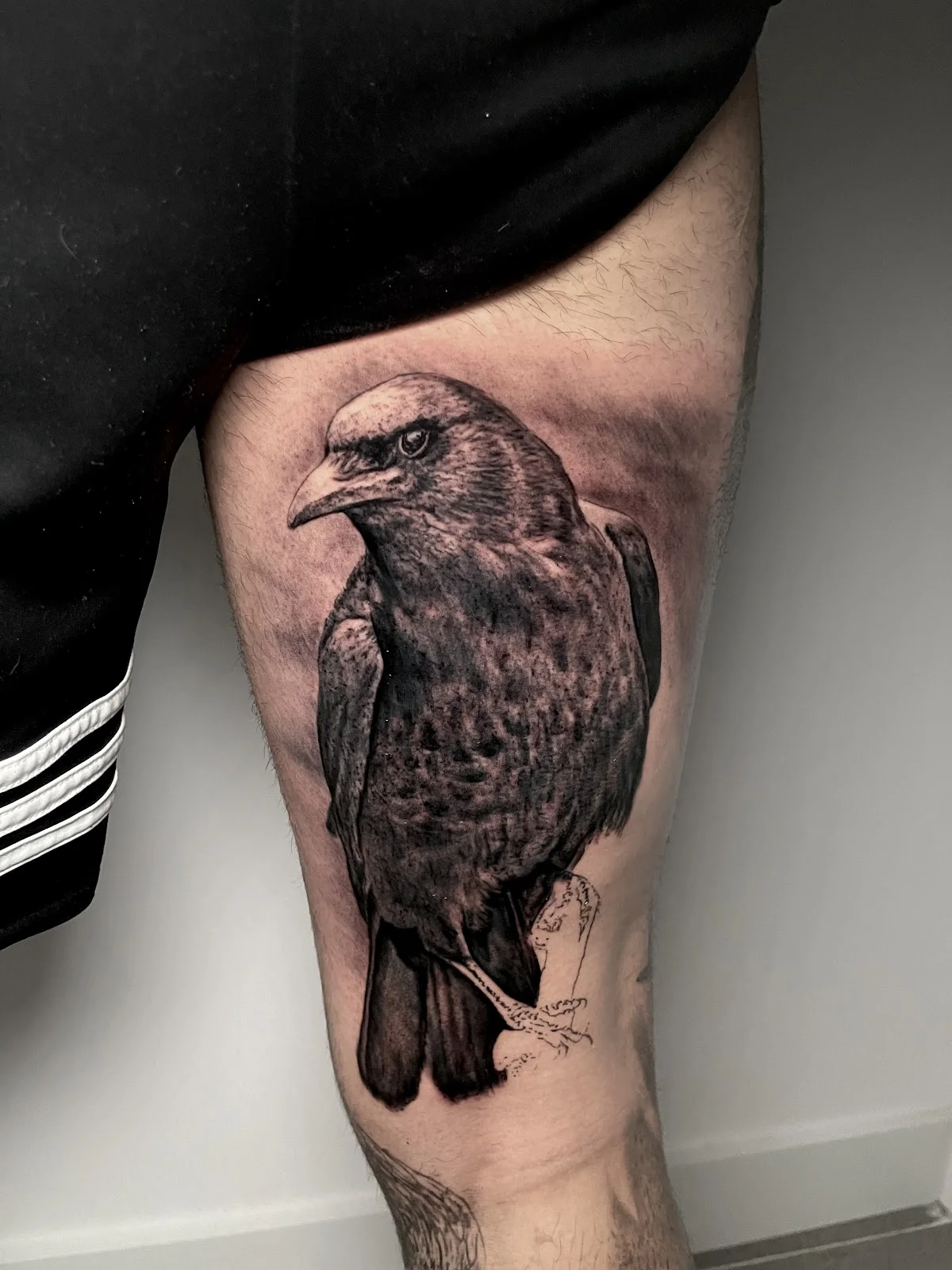 Mono loco tattoo photo