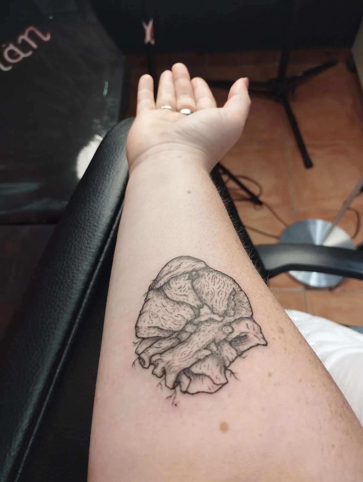 Talisman Tattoo Studio photo