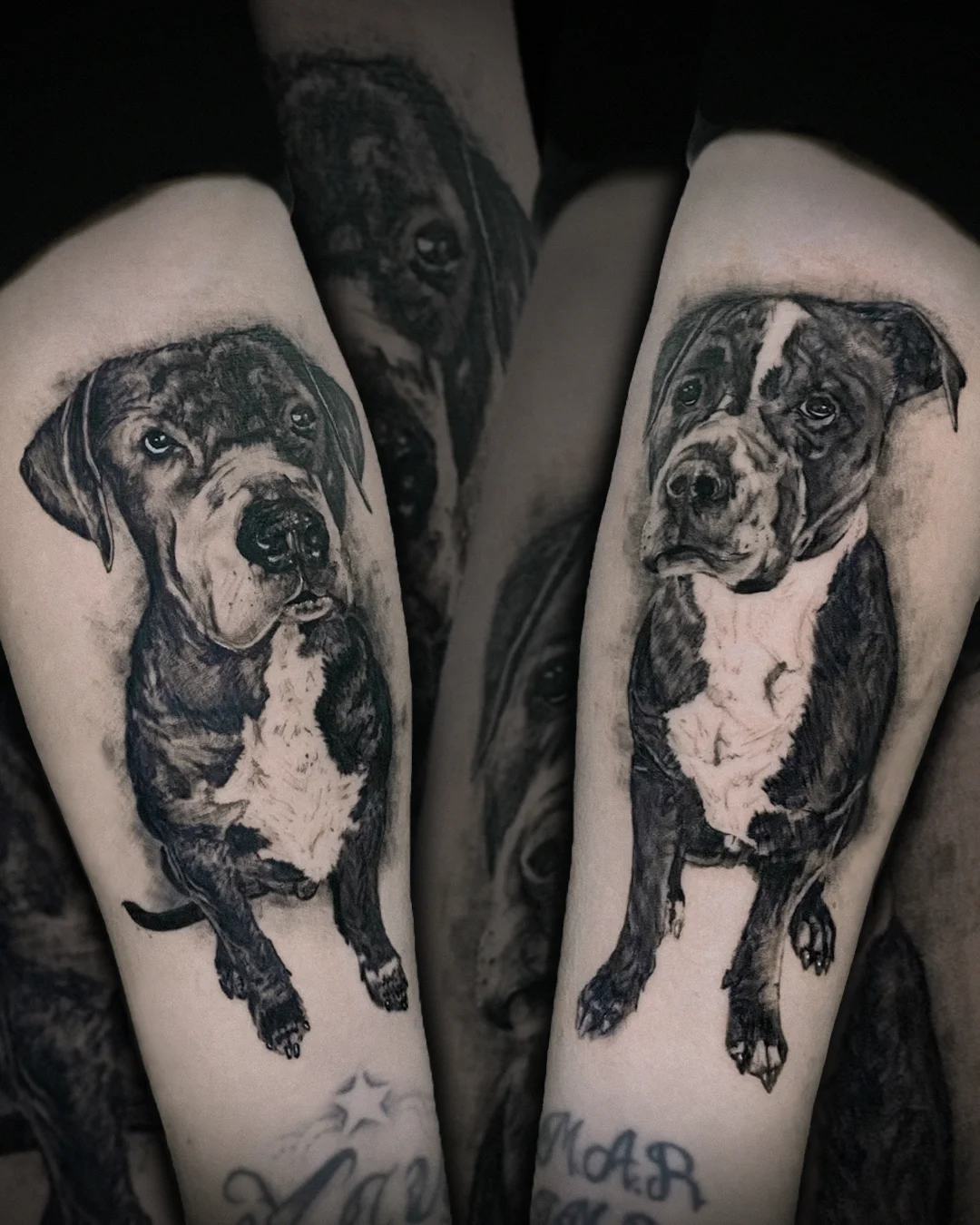 Adán Tattoo Studio tattoo shop in Sabadell, CT