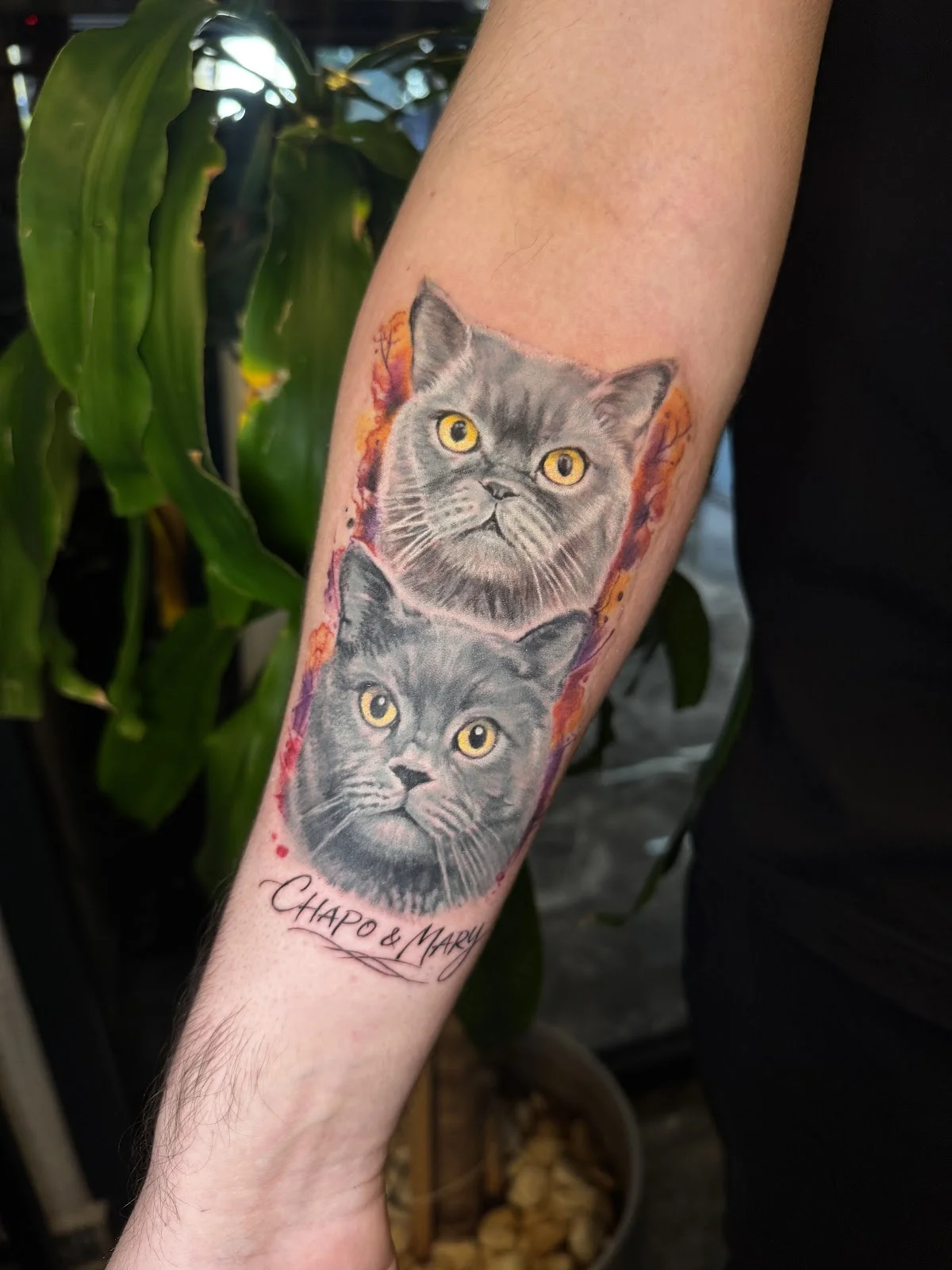 Cleopatra INK Tattoo & Piercing Bostanlı Studio tattoo shop in Izmir