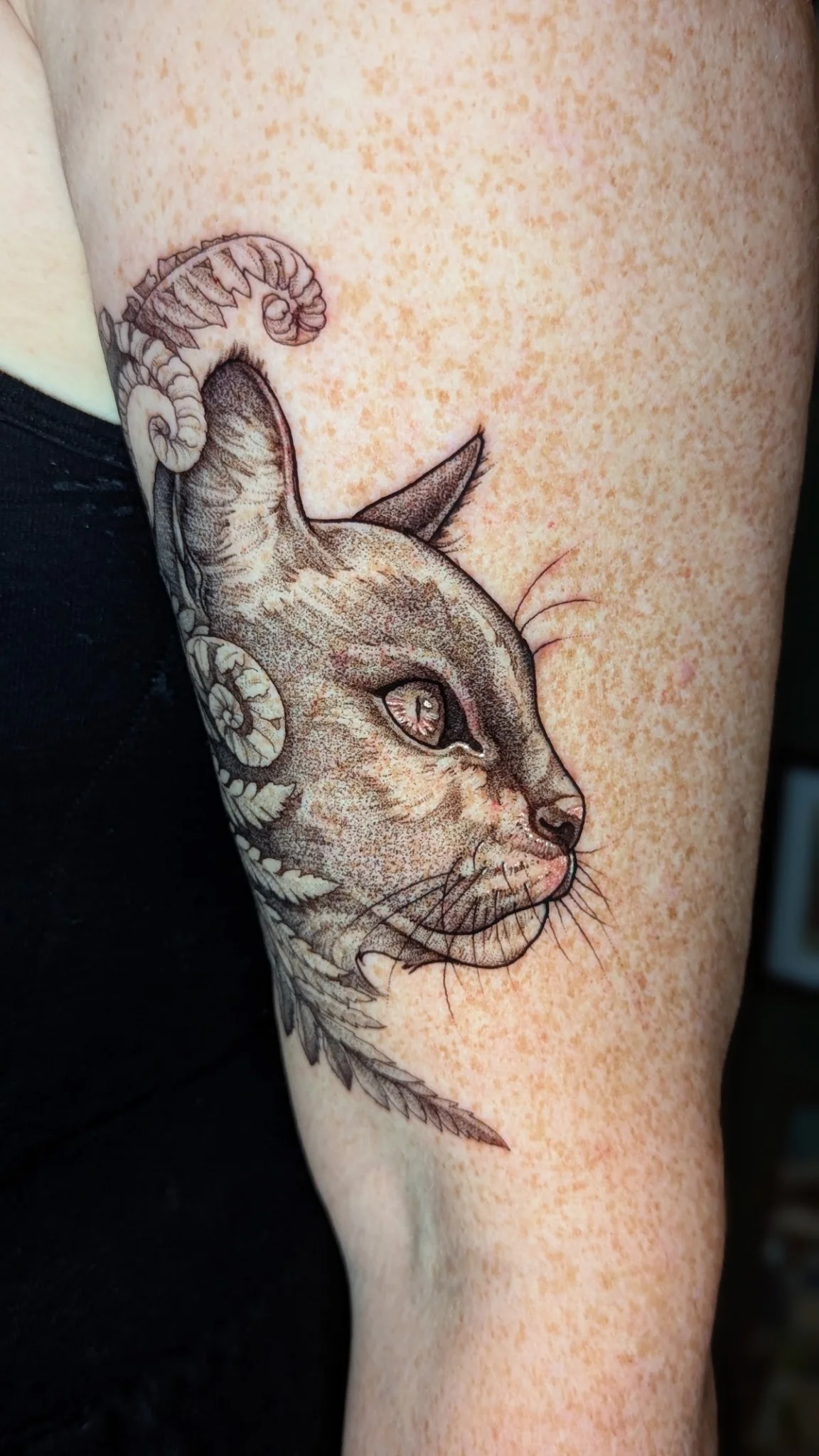 Nausikaa - Botanical Tattoos Stockholm tattoo shop in Soedermalm