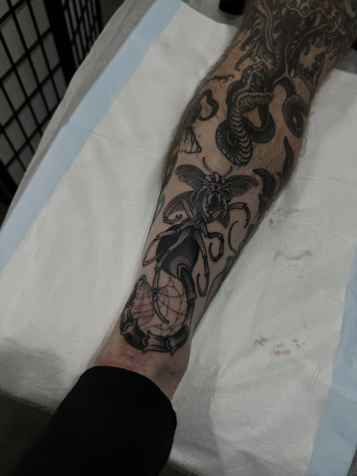 Bloodlines Ink tattoo shop in Perth, WA