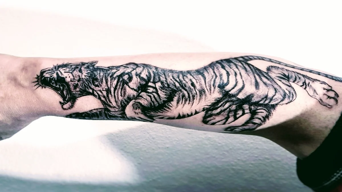 Vuelos Tattoo Cba photo
