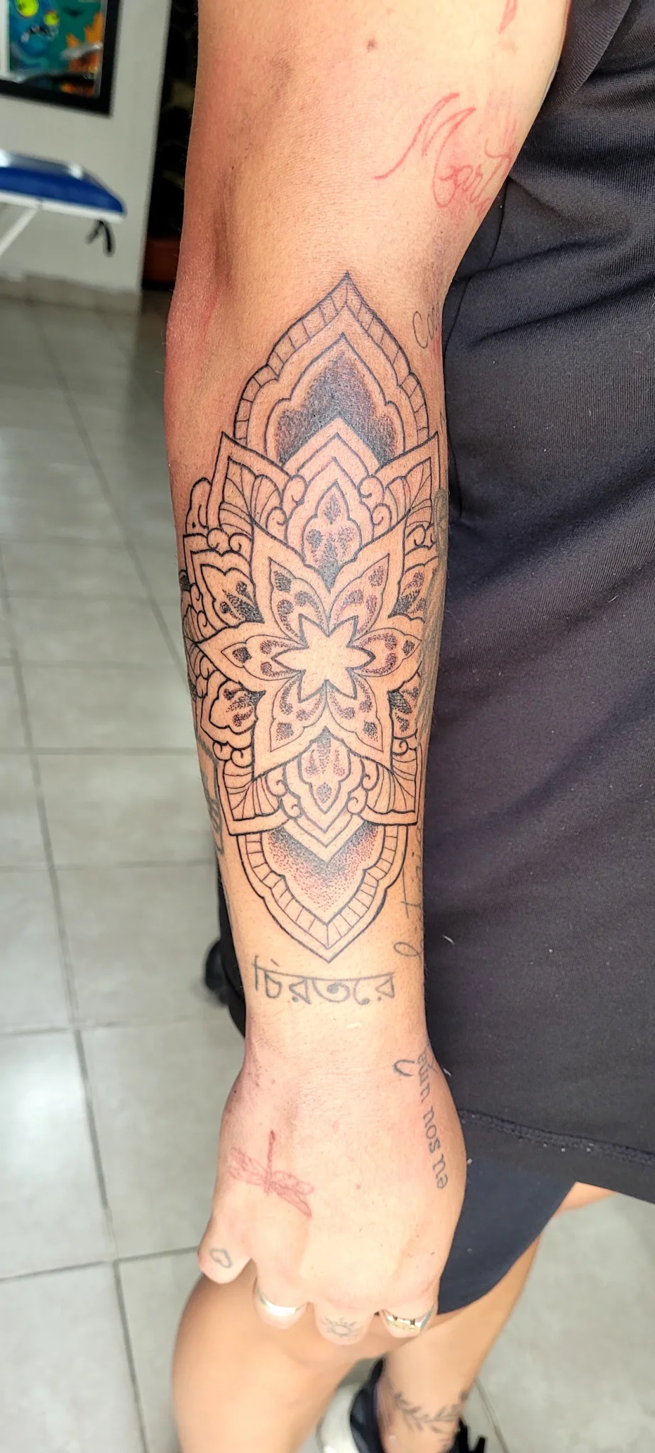Medusa Tattoos & Piercing tattoo shop in Salta