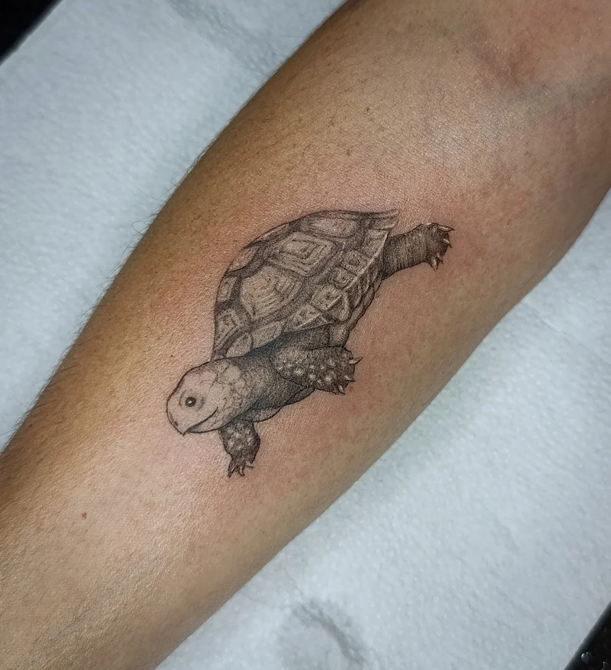 Gapatuna Tattoo photo