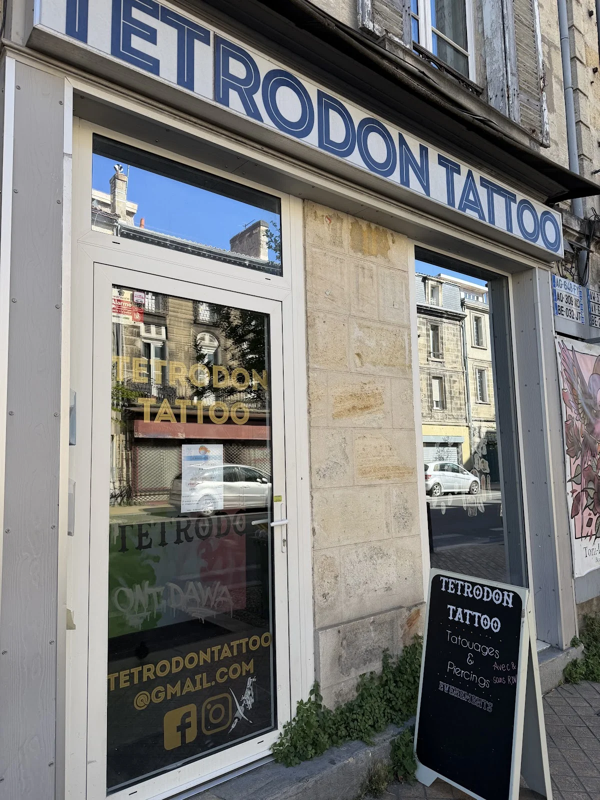 Tetrodon Tattoo photo