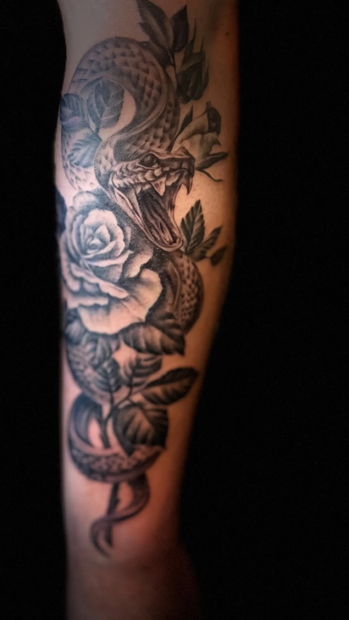Jenson InkAddict Tattoo Shop photo