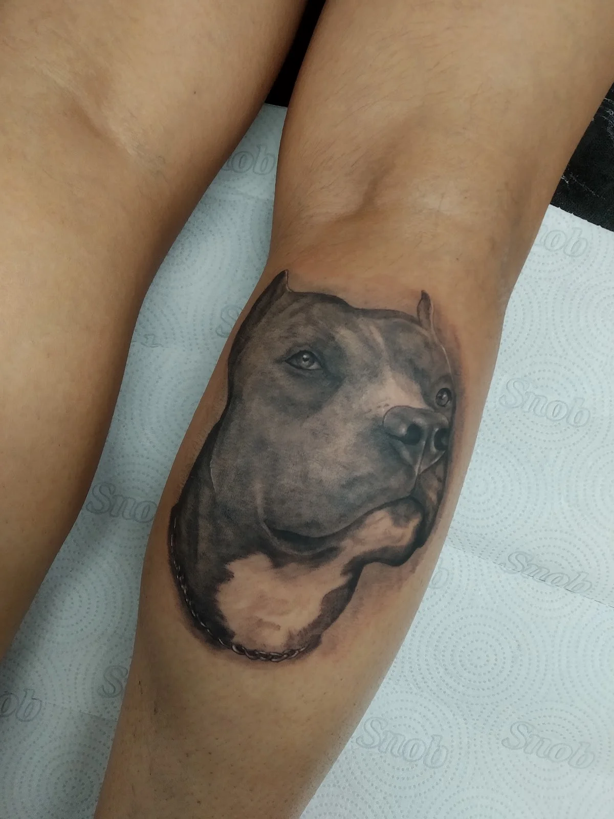 Jacks Tattoo Studio tattoo shop in Belo Horizonte, MG