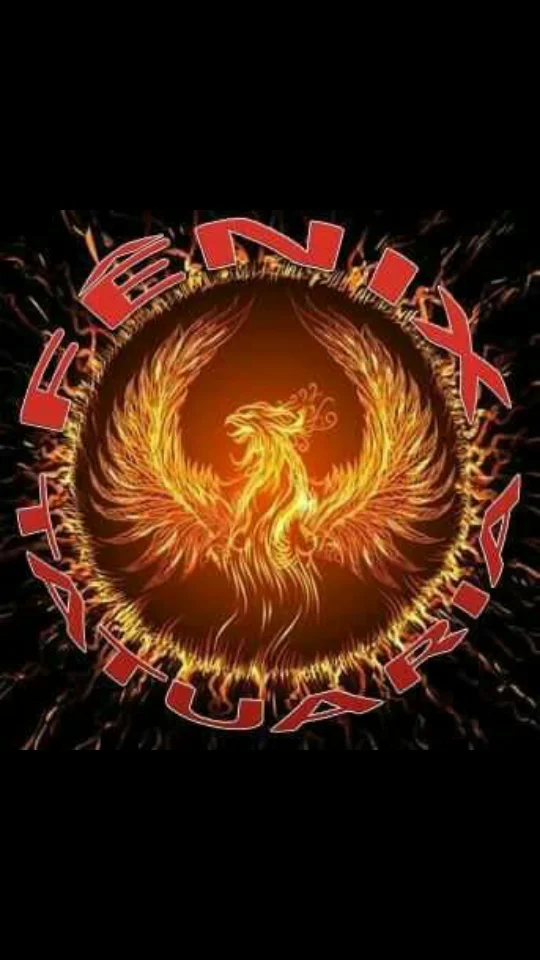 Fenix Tatuaria - Tattoo E Piercing tattoo shop in Porto Alegre, RS