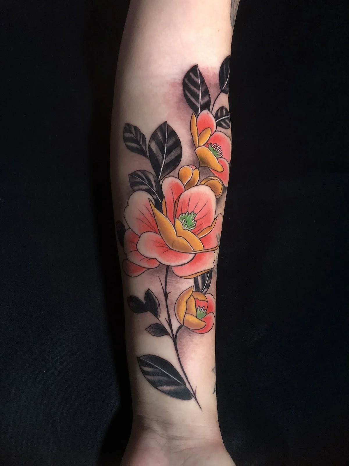 Irmãos Metralha Tattoo & Piercing tattoo shop in Goiania, GO