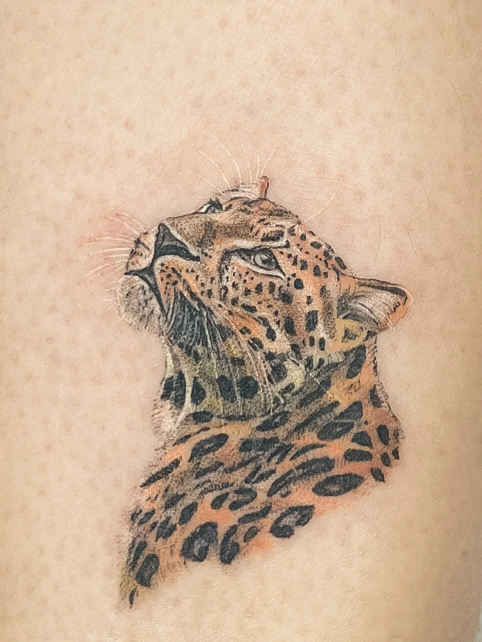 Fernanda Castro • Tattoo Fine Line tattoo shop in Maceio, AL
