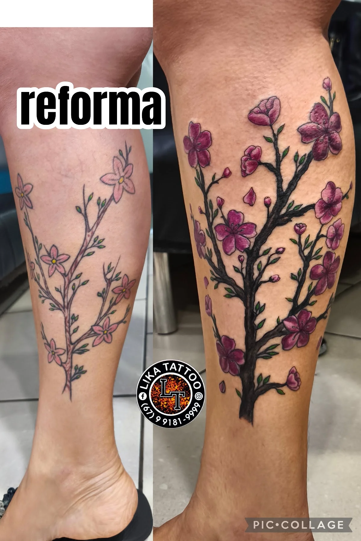 Lika tattoo tattoo shop in Campo Grande, MS