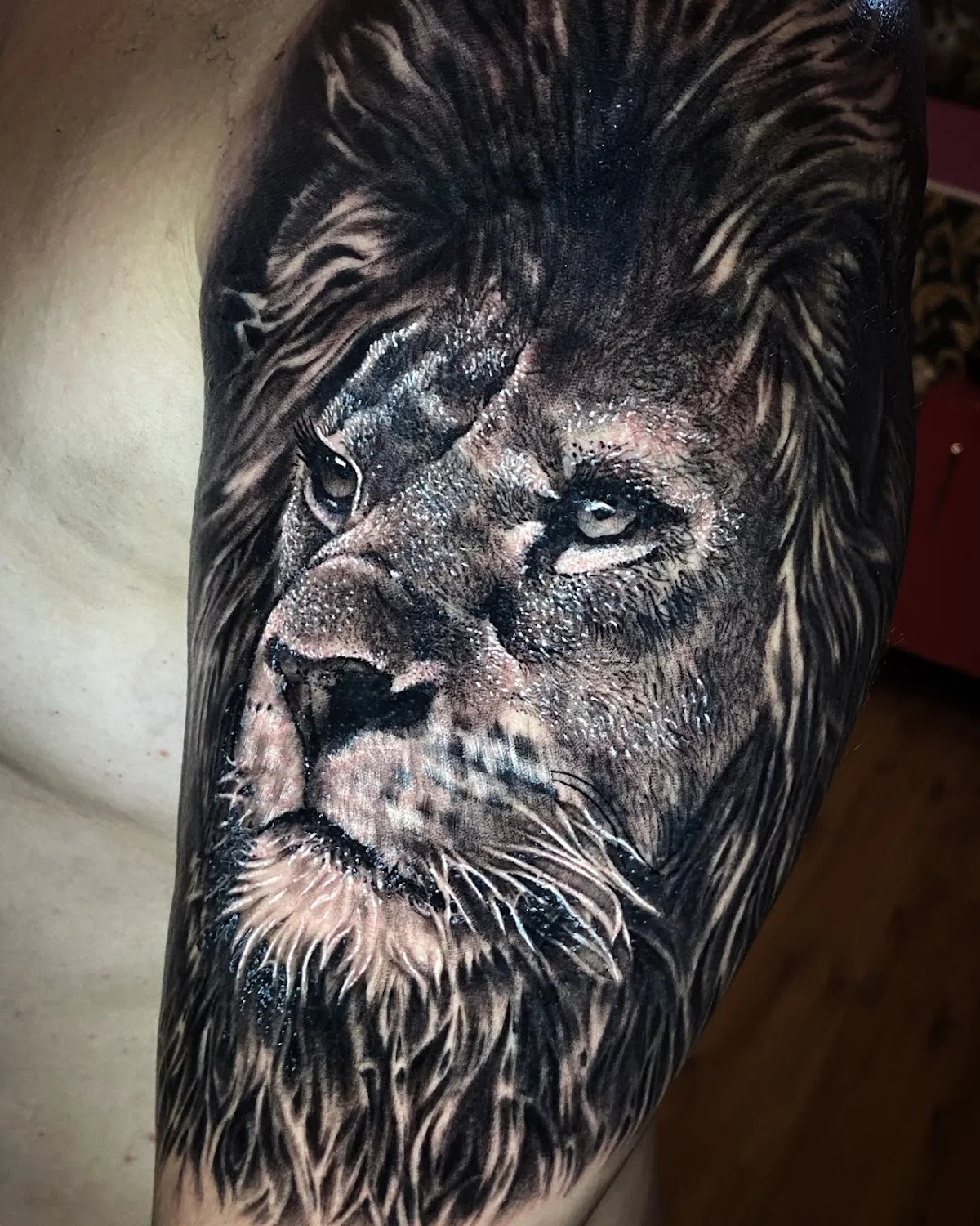 Andre Ventureli Tattoo tattoo shop in Sorocaba, SP
