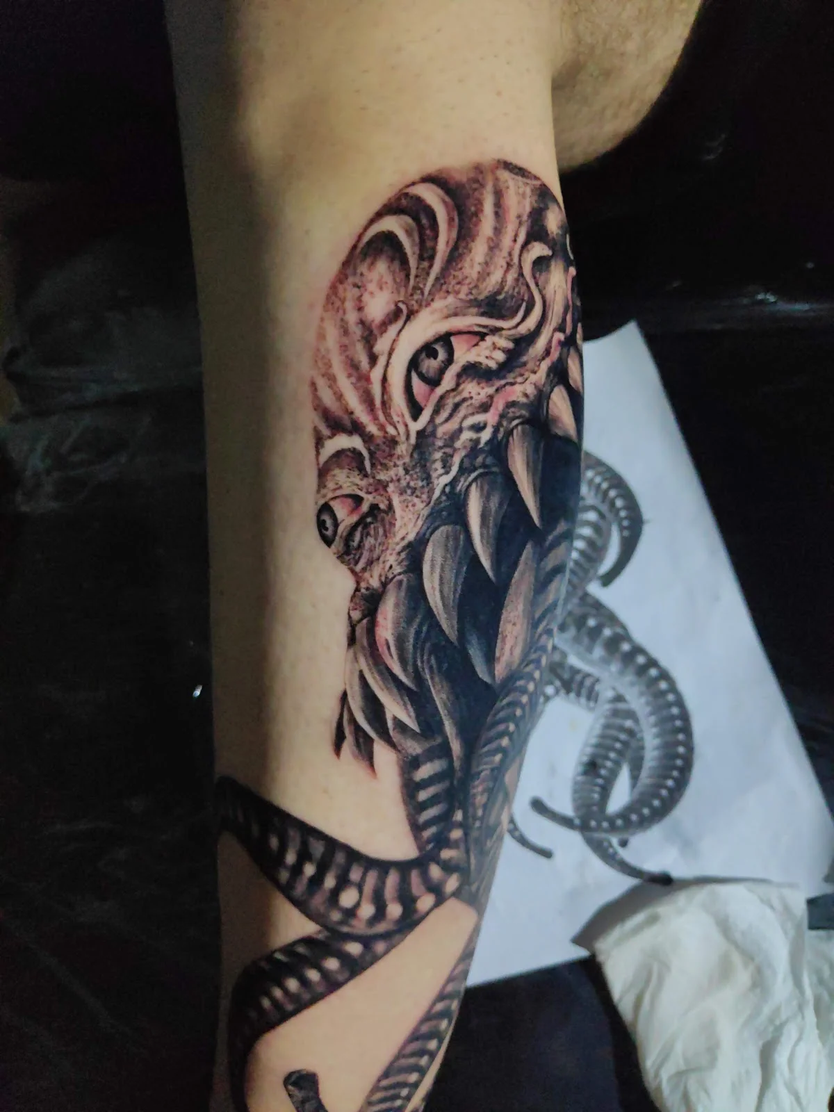 Fênix Tattoo tattoo shop in Aparecida de Goiania