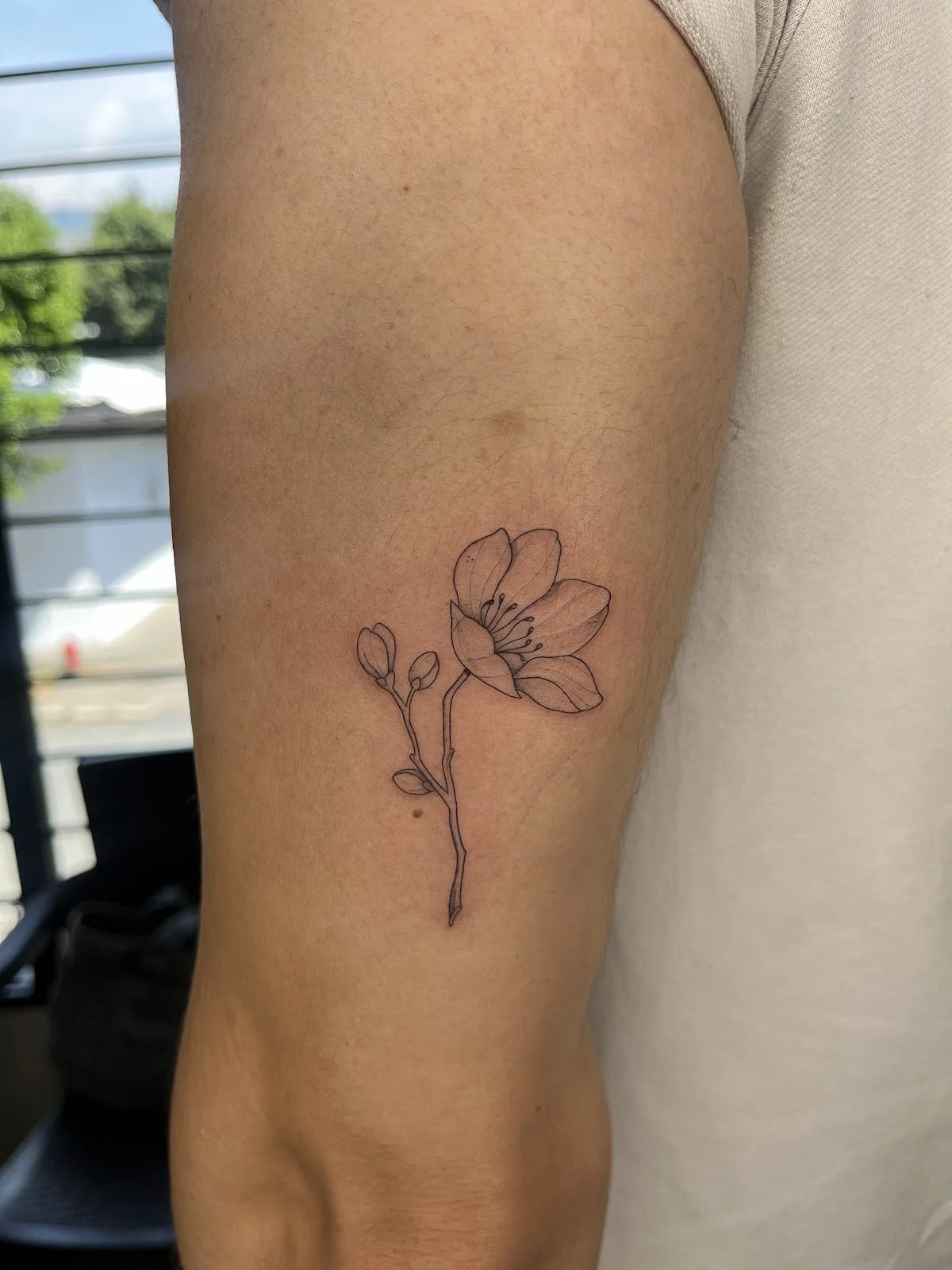 Haku Tattoo Studio tattoo shop in Cali