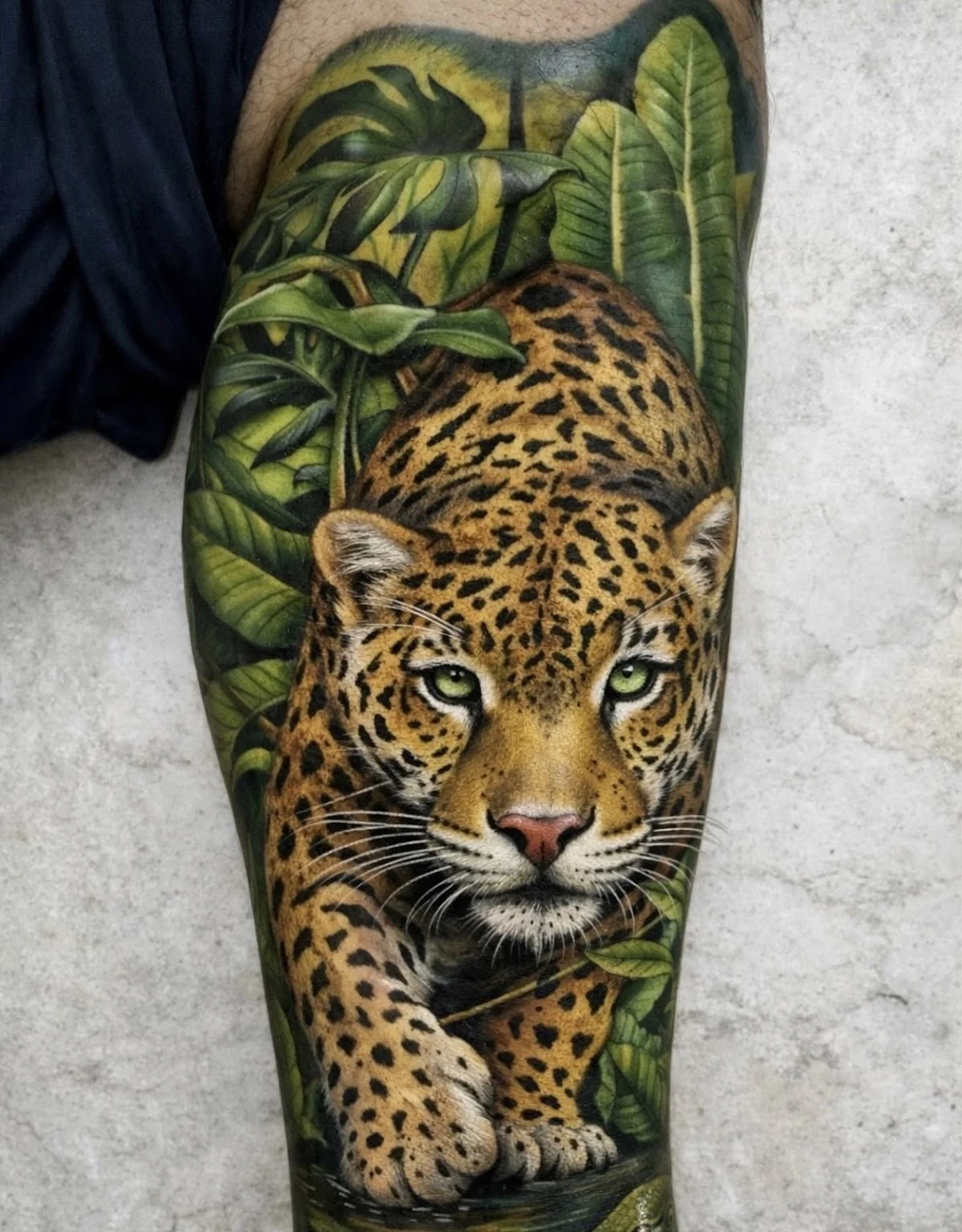 AnimalTattoo tattoo shop in Cúcuta