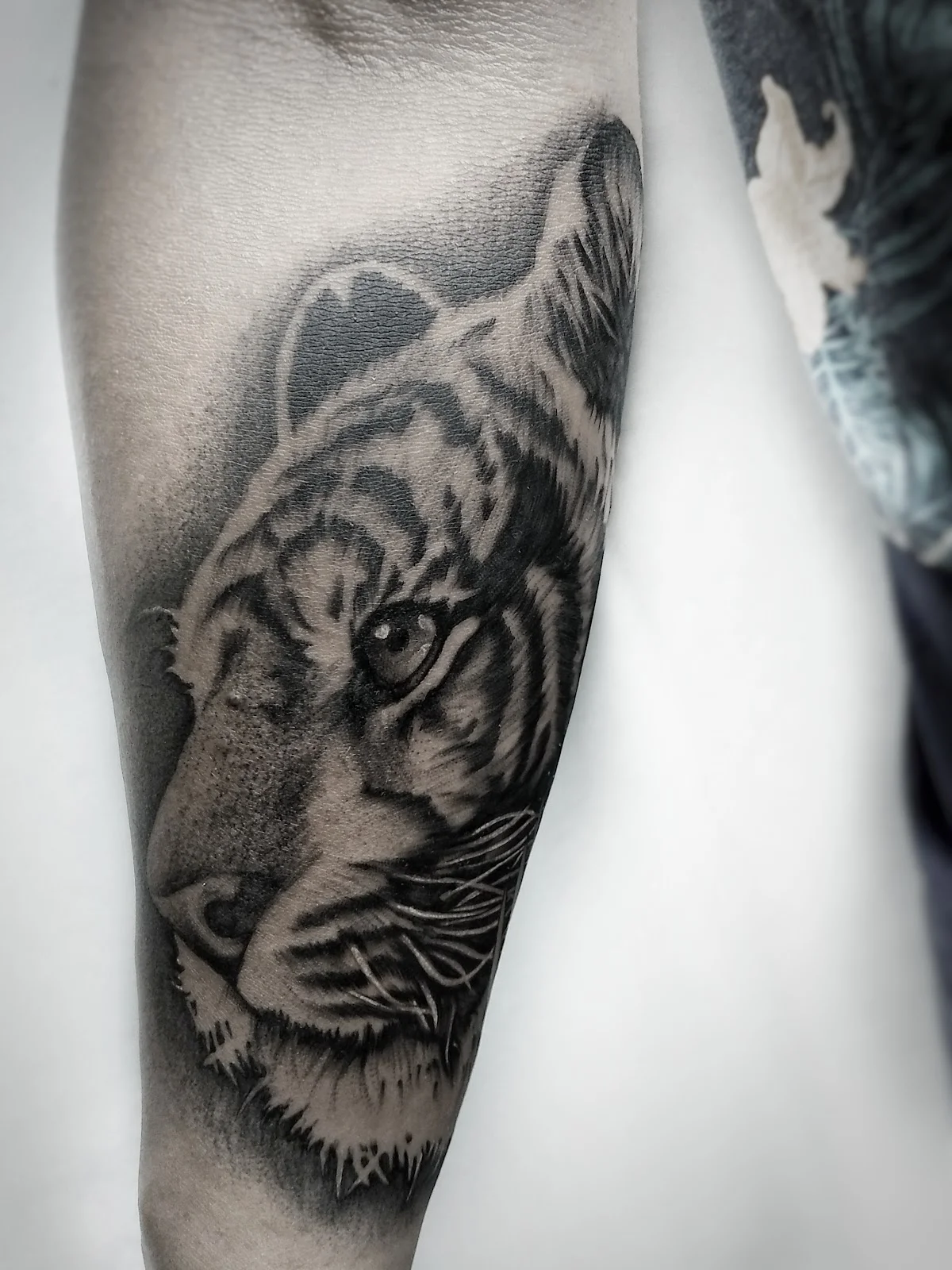 Bones Tattoo Studio tattoo shop in Bello