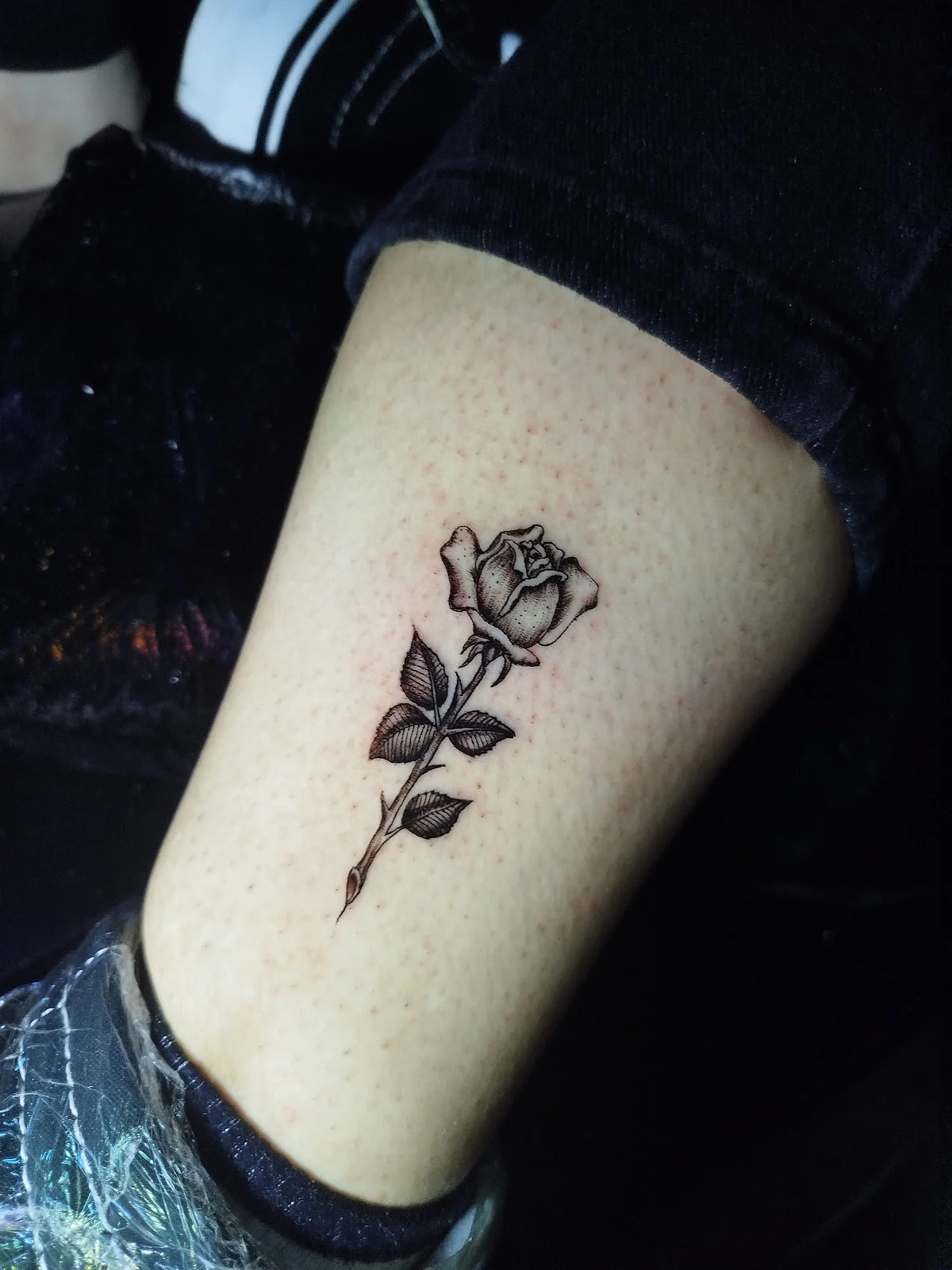 Celda 813 Tattoo Studio tattoo shop in Pasto