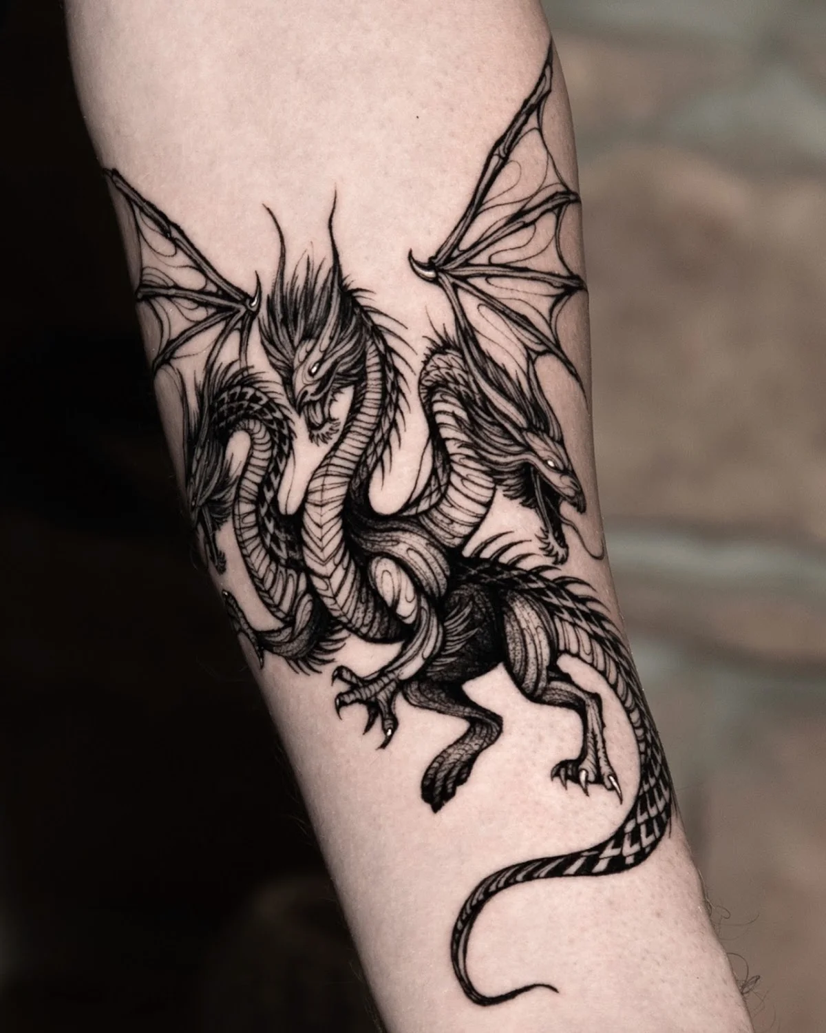 Modu Studio Tattoo tattoo shop in Frankfurt am Main, HE